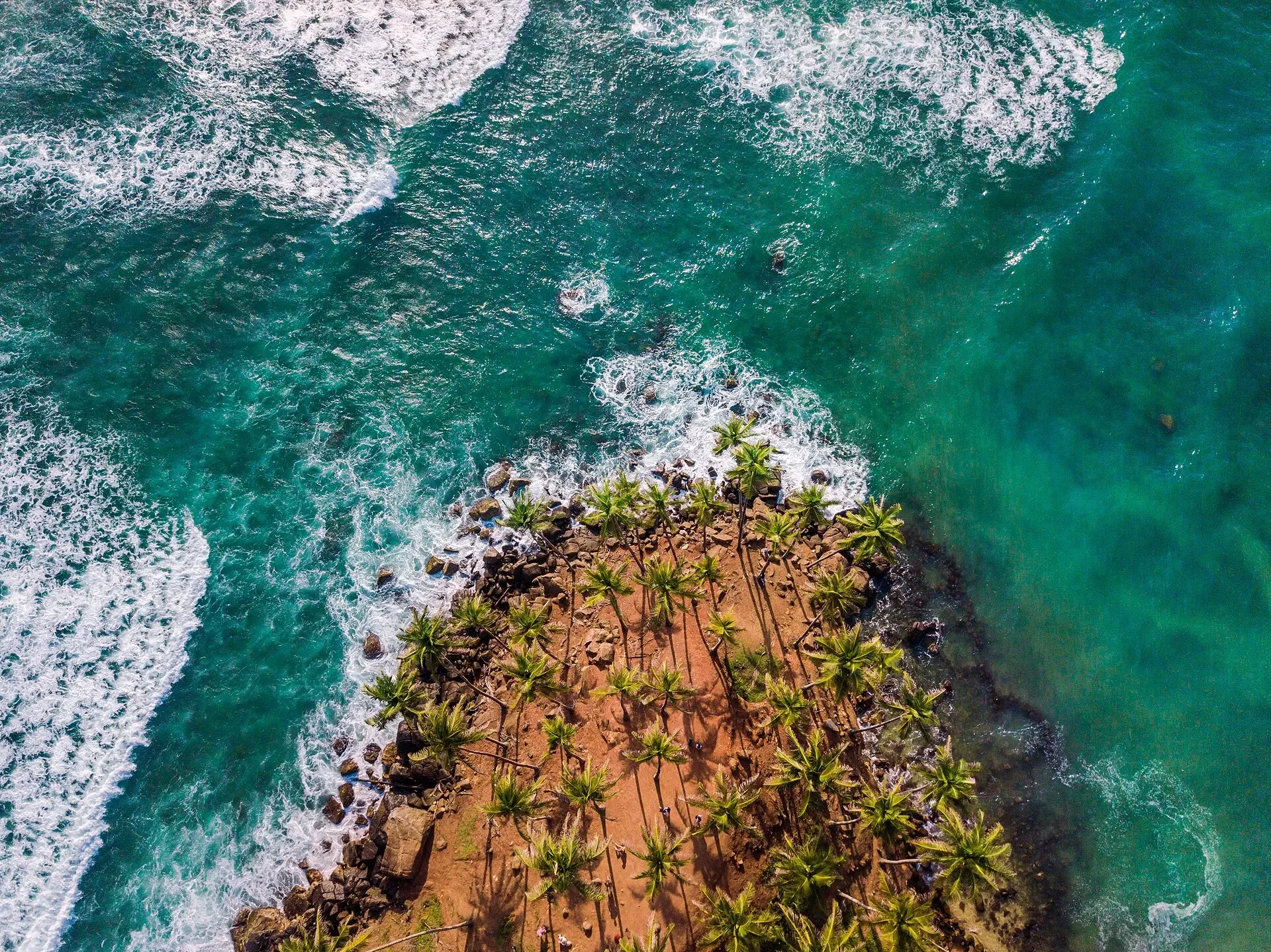Aerial view of Coconut Tree Hill, a red-earth headland covered in palm trees with waves breaking around it