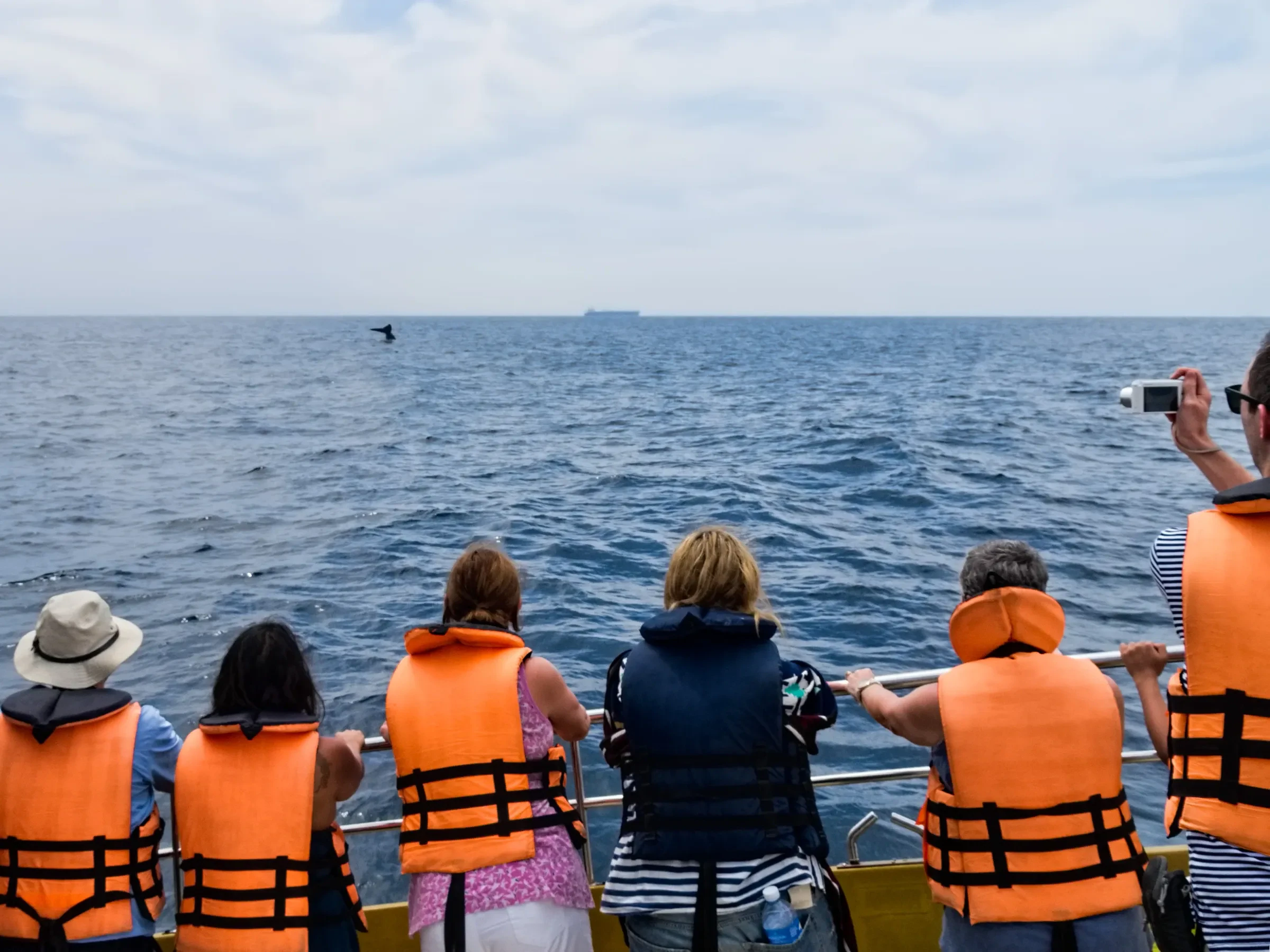 Passengers in orange life jackets at a boat's rail, looking out to sea