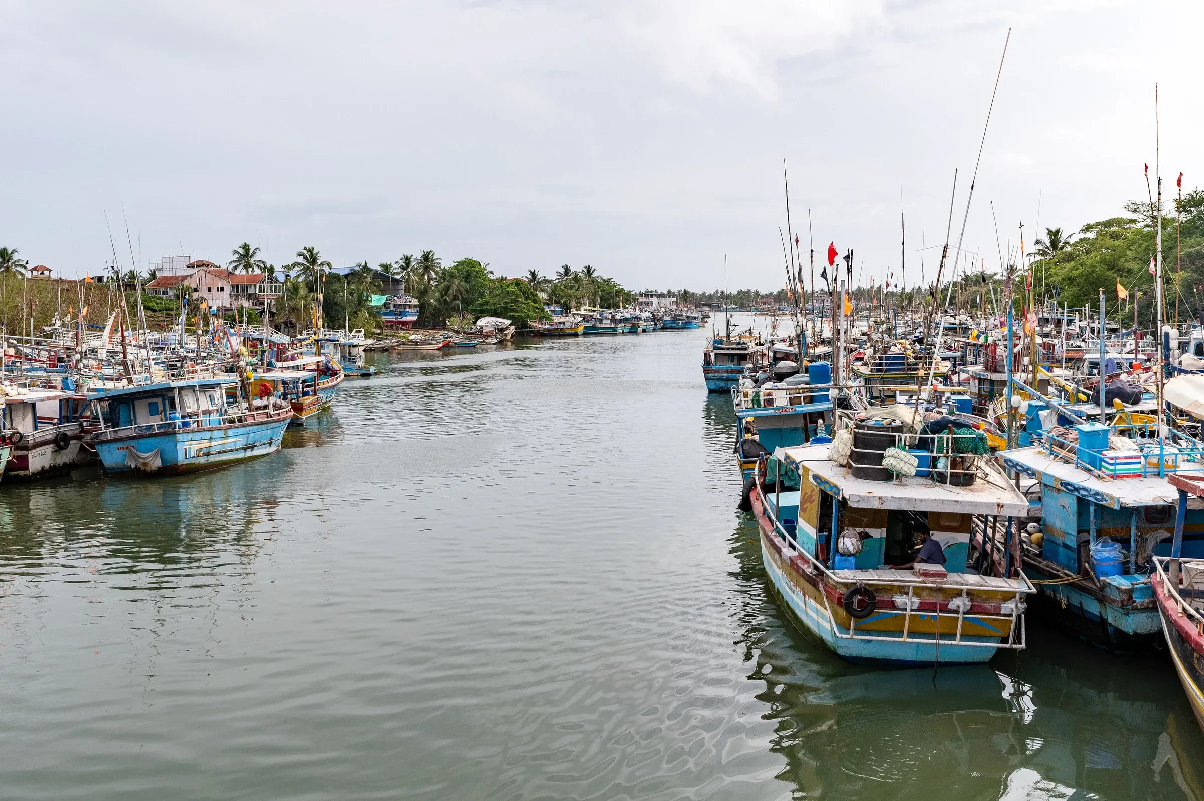 Fishing boats moored along the Negombo Lagoon in Sri Lanka