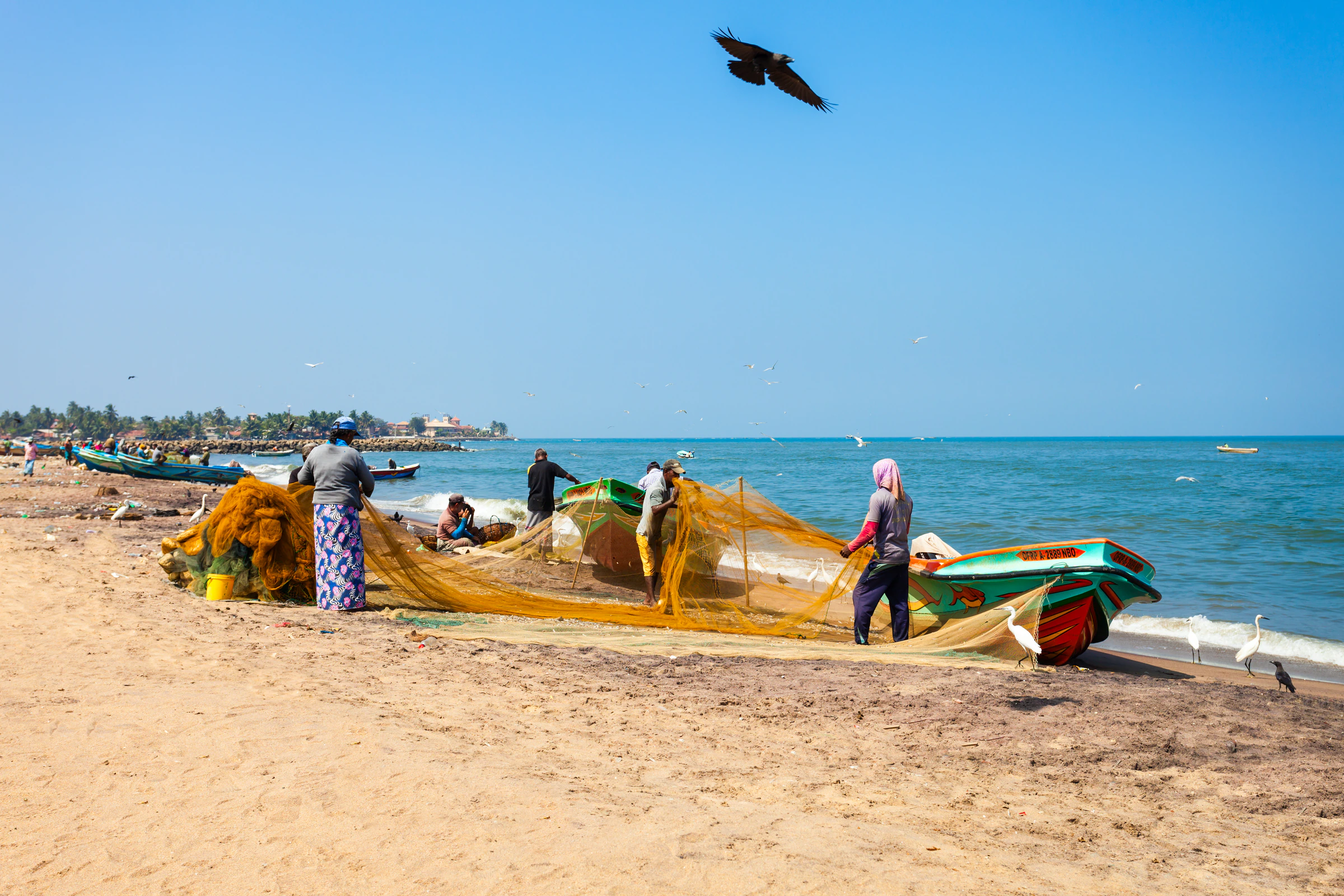 Fishermen working with their nets on Negombo's beach