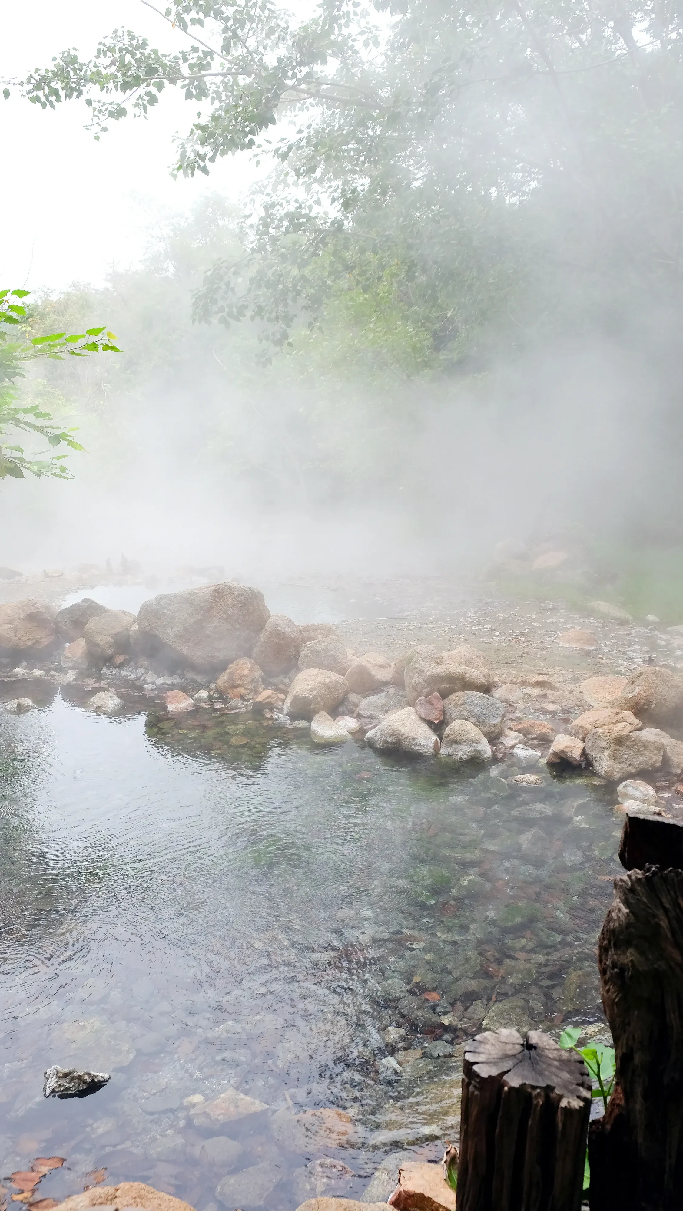 Steam rising from Tha Pai hot springs