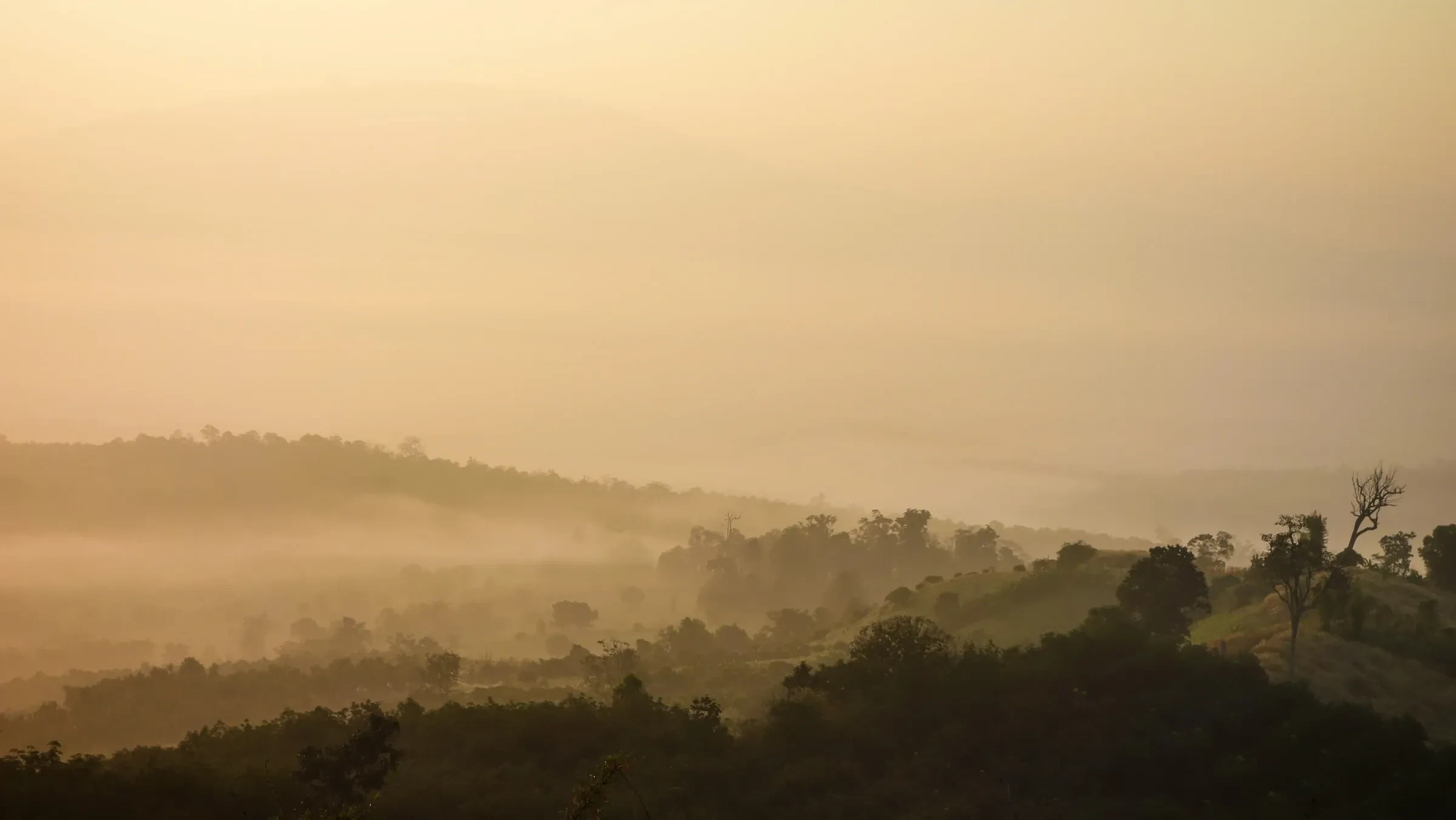 Mist over the Pai valley seen from Yun Lai viewpoint at sunrise