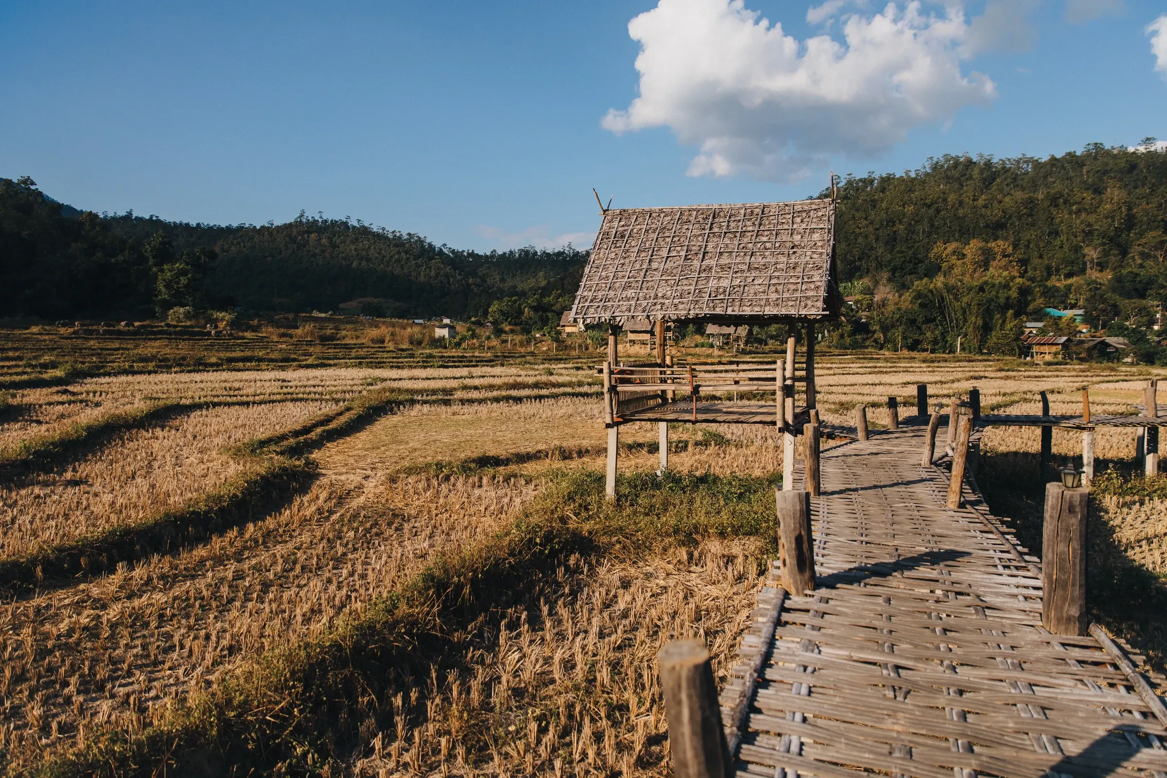 A wooden footbridge with a thatched shelter crossing dry rice fields near Pai