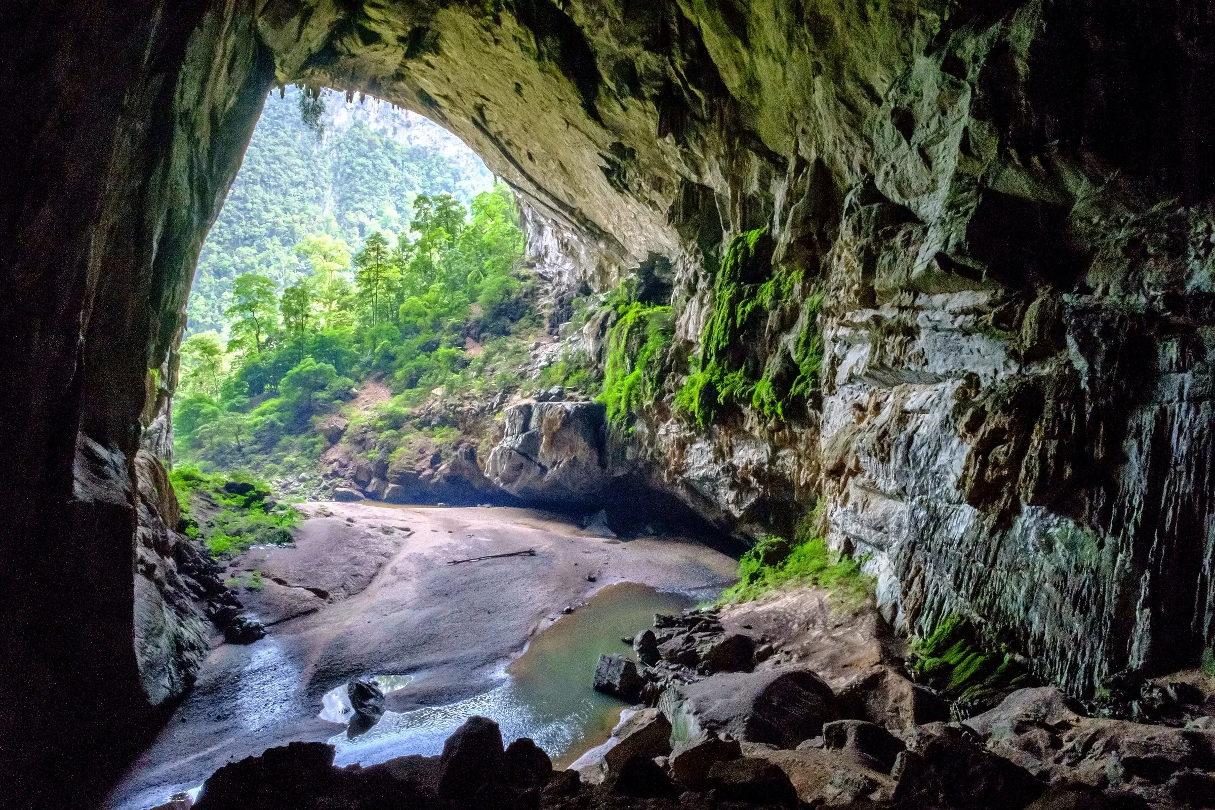 Green forest at the entrance of Hang En cave, with a stream running out over the rocks.