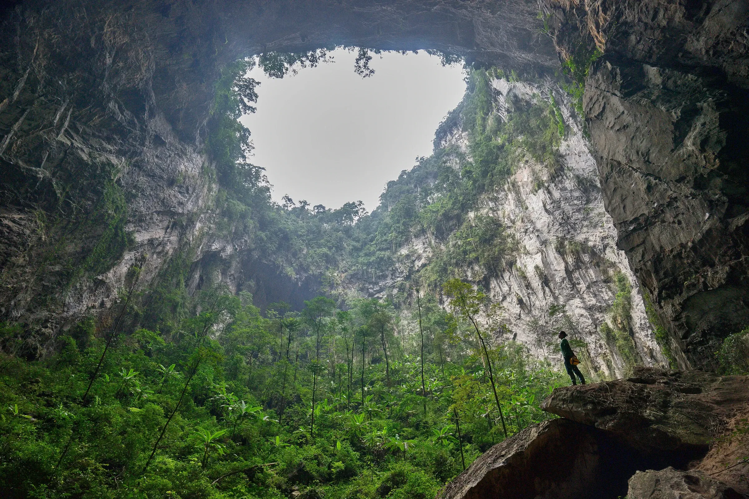 Trees growing on the floor of the second doline in Son Doong Cave, with a caver standing on a rock.
