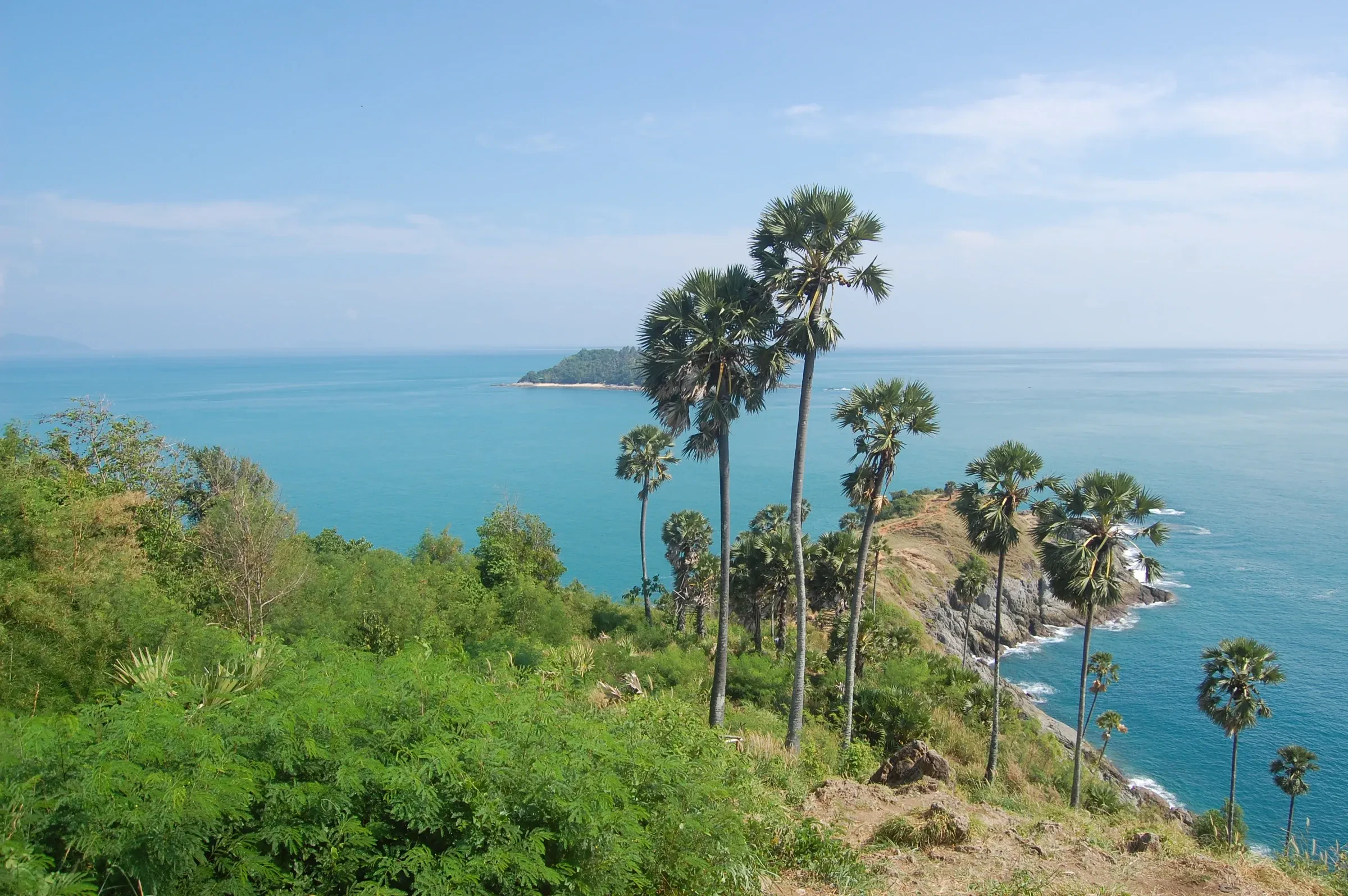 Palm trees on the headland at Promthep Cape above the turquoise sea, Phuket