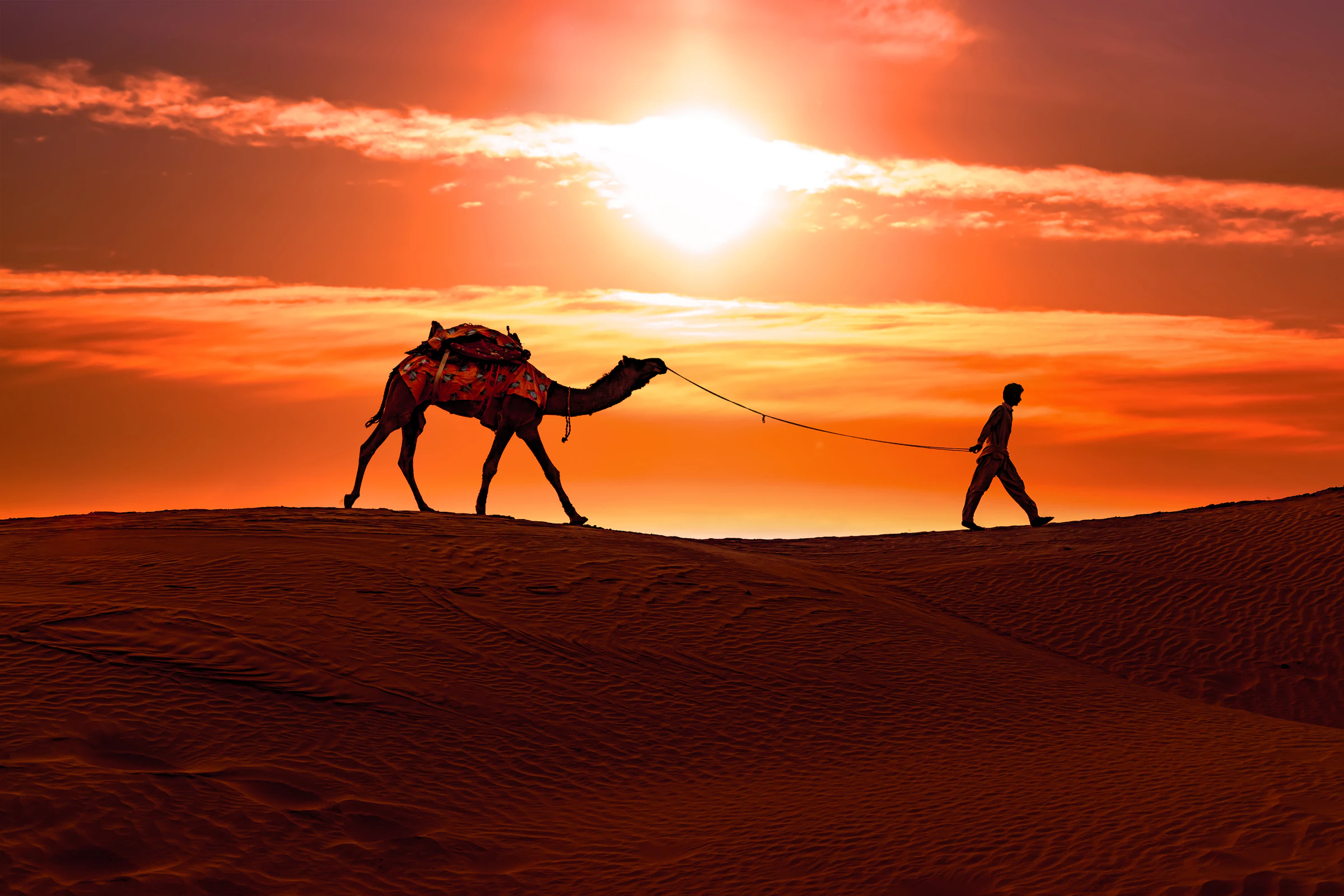 Camel silhouettes crossing the Thar Desert dunes outside Jaisalmer at sunset