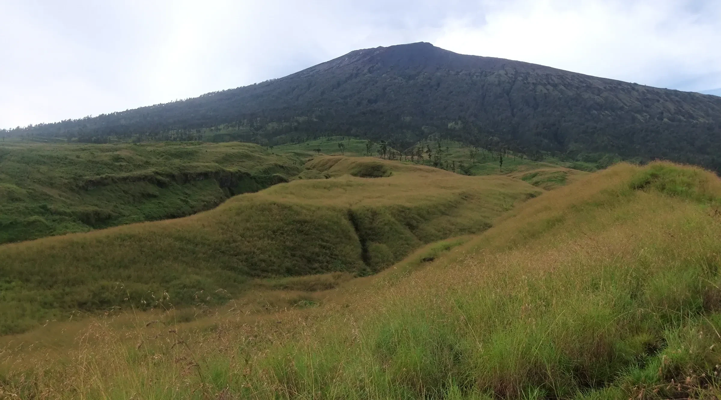 The green Sembalun savannah rolling up towards the dark slopes of Mount Rinjani