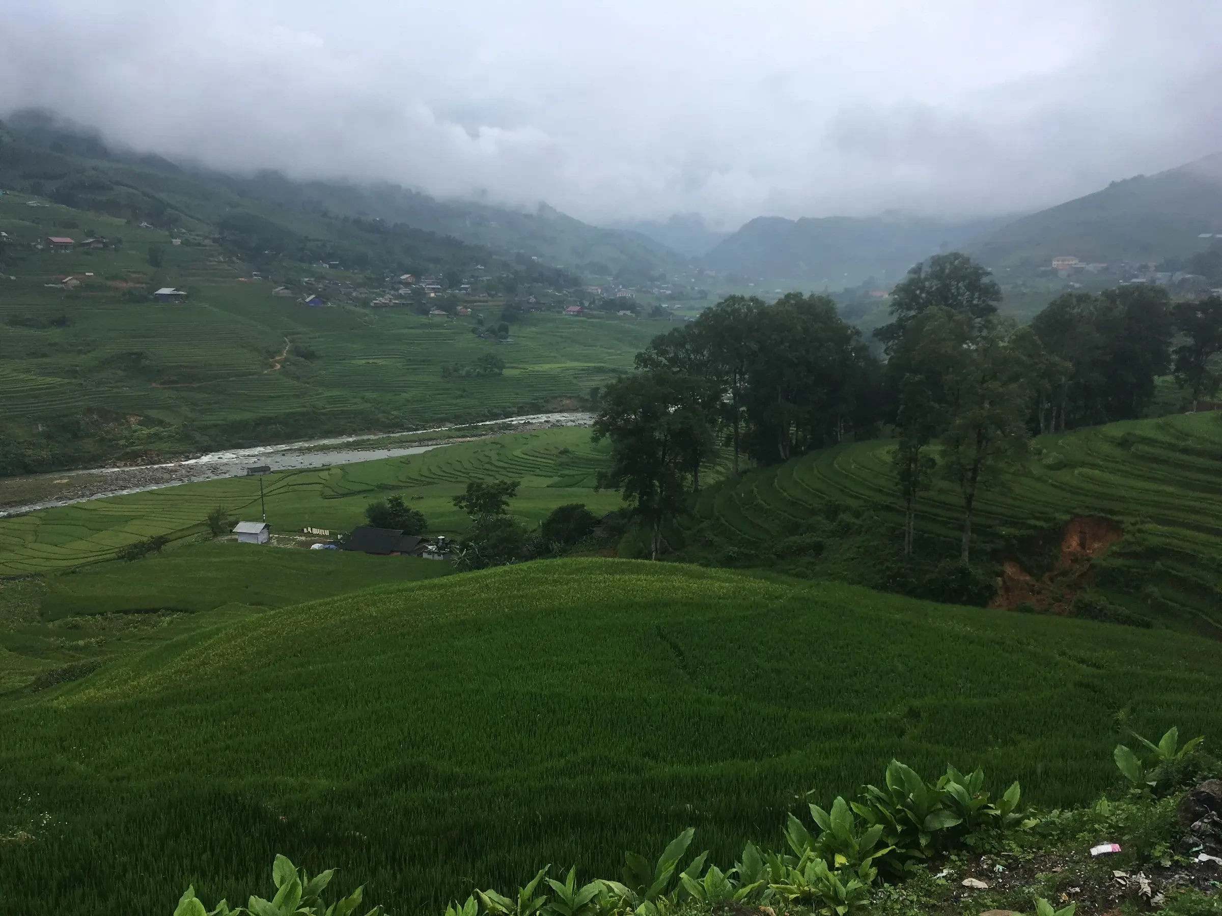 Low cloud over green terraces and a stream in the Muong Hoa Valley near Sapa