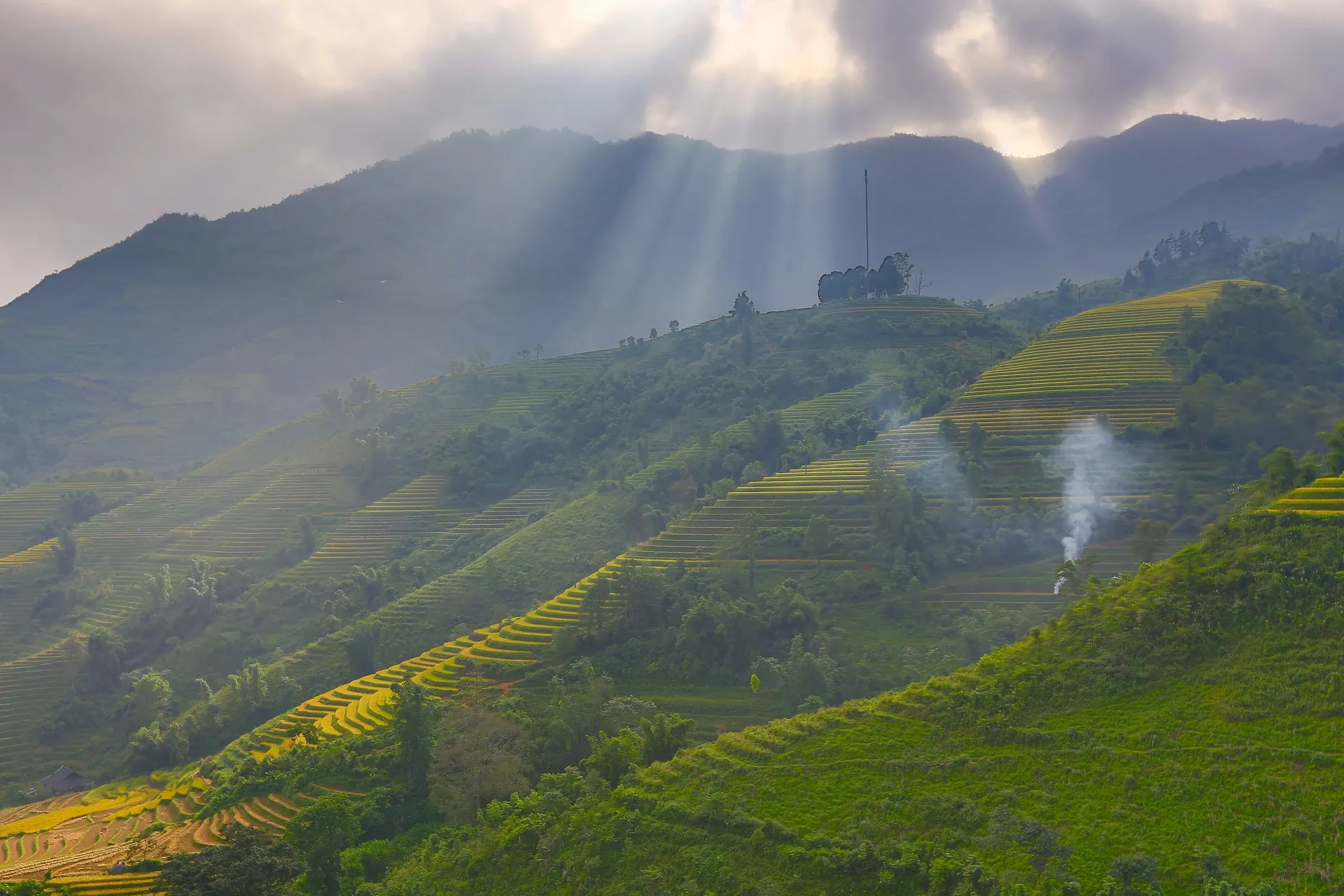 Sunbeams over golden terraces on a hillside near Sapa in late September