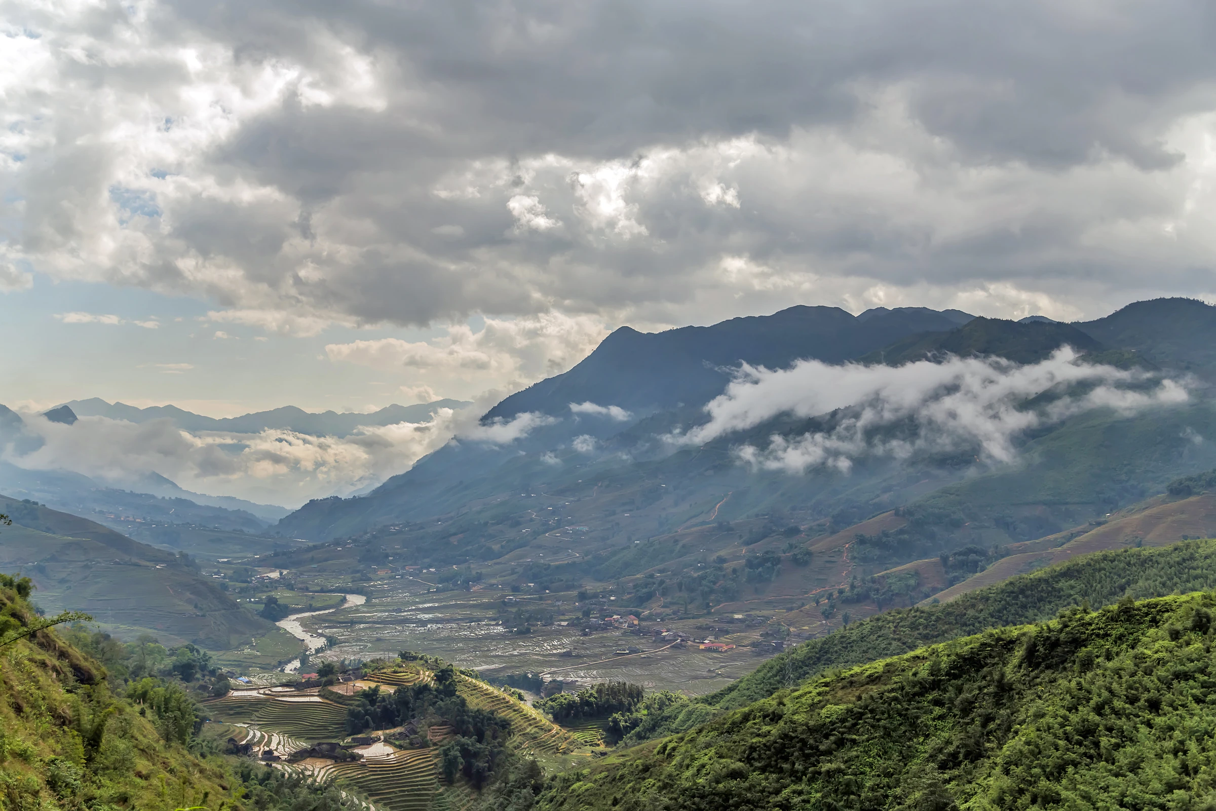 Terraced rice fields turning gold before the harvest in a valley near Sapa