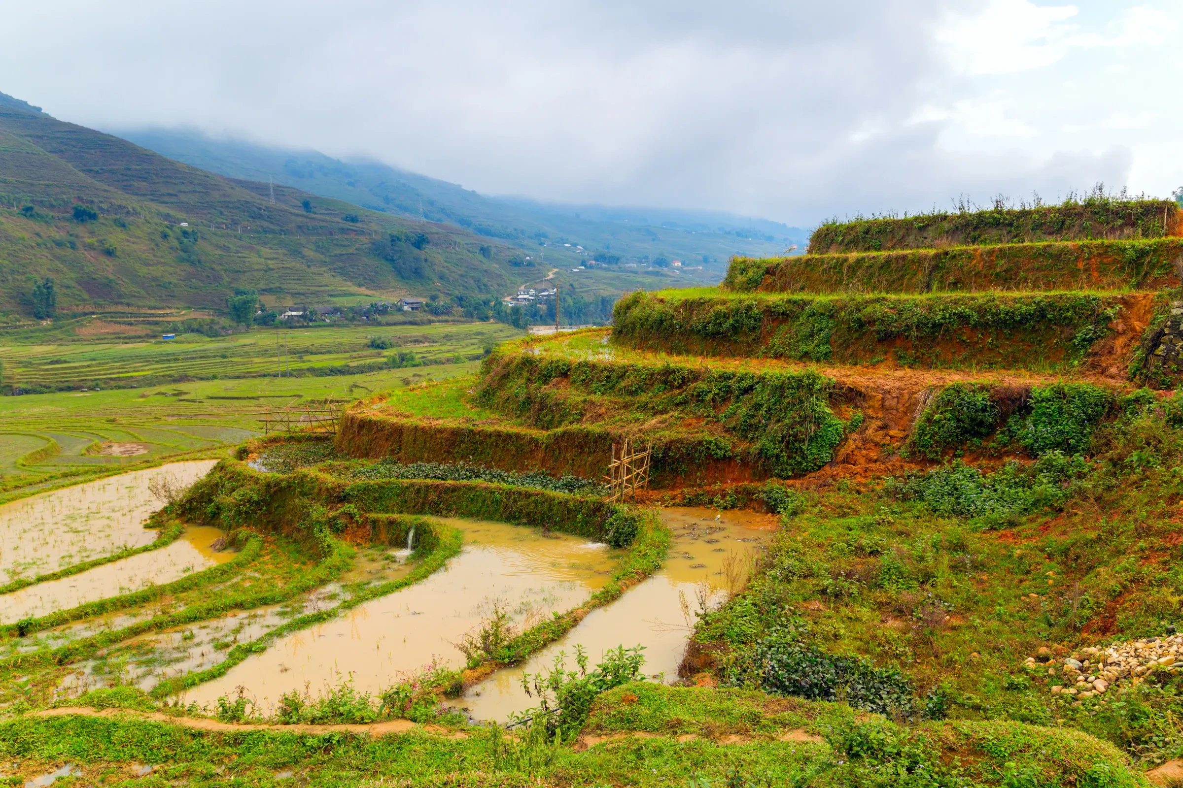 Flooded rice terraces stepping down a green hillside in a mountain valley