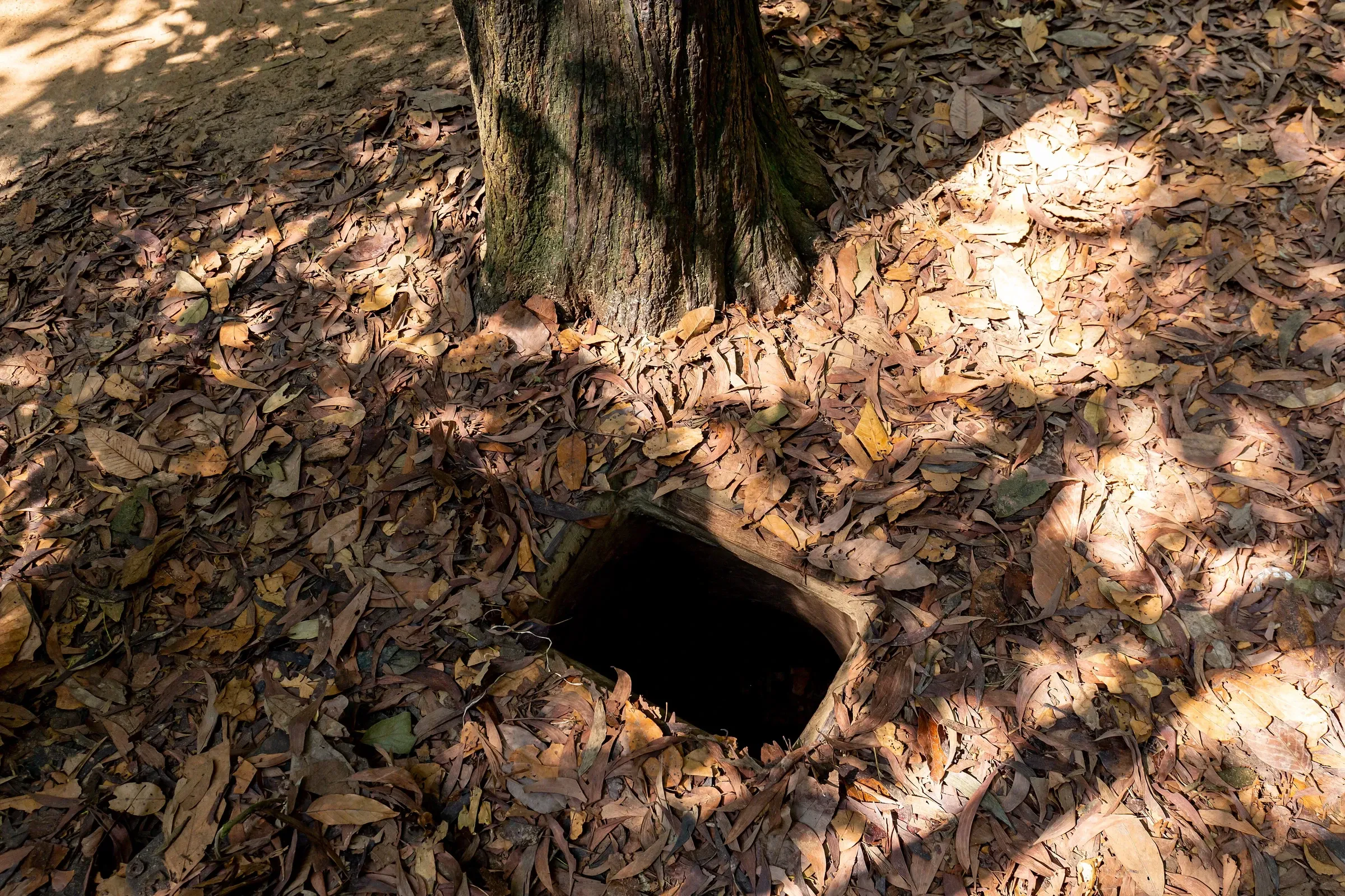 The hidden entrance to a Cu Chi tunnel, a small dark opening in leaf litter beneath a tree