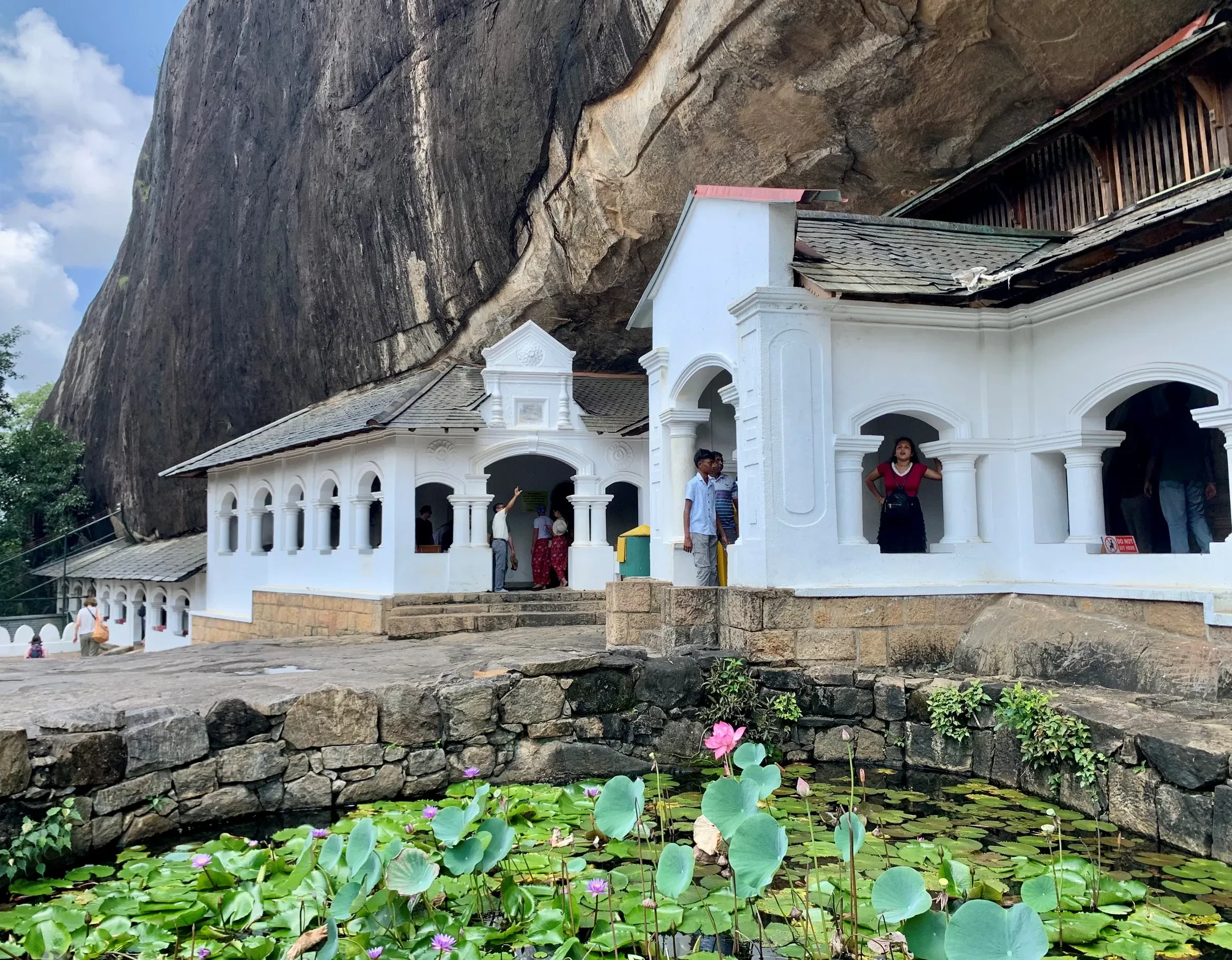 The whitewashed Dambulla cave temple beneath a huge rock overhang, with a lotus pond in front