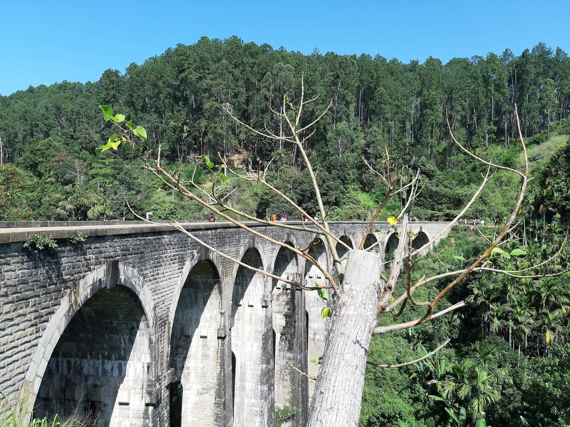 The stone arches of the Nine Arches Bridge near Ella, among forest