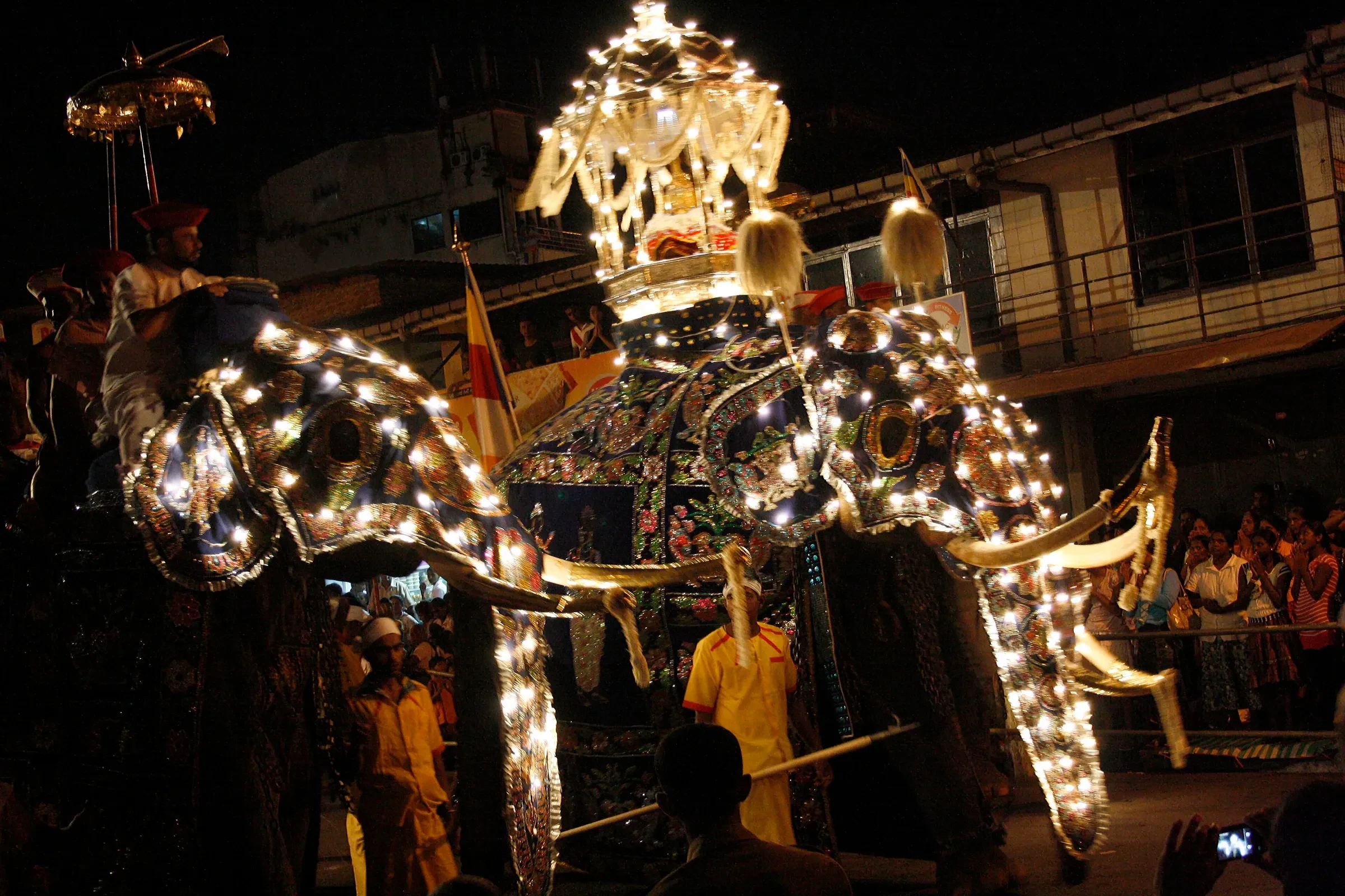 An elephant dressed in lights and cloth at the Esala Perahera procession in Kandy