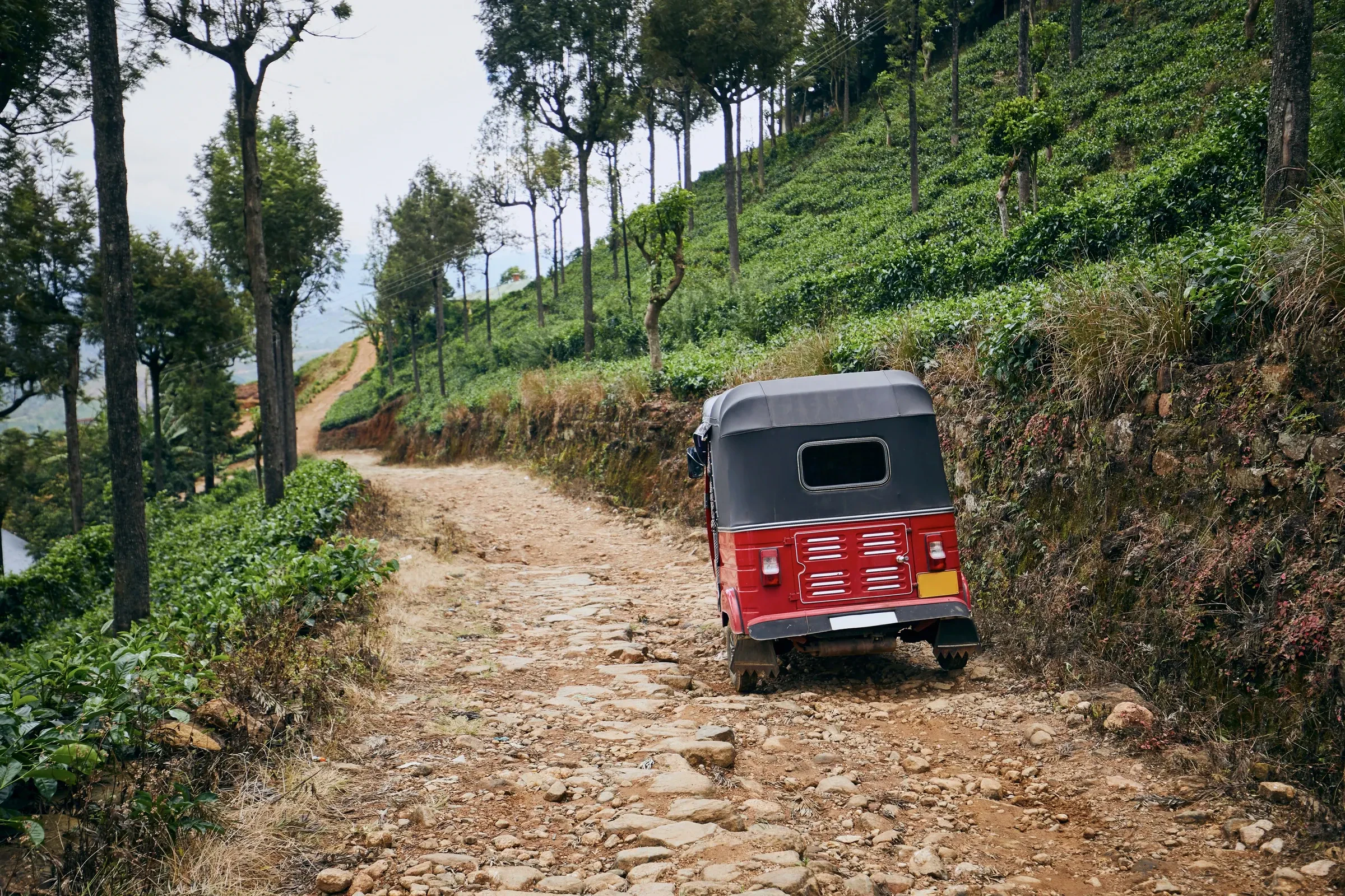 A red tuk-tuk on a stony road through tea plantations in Sri Lanka's hill country