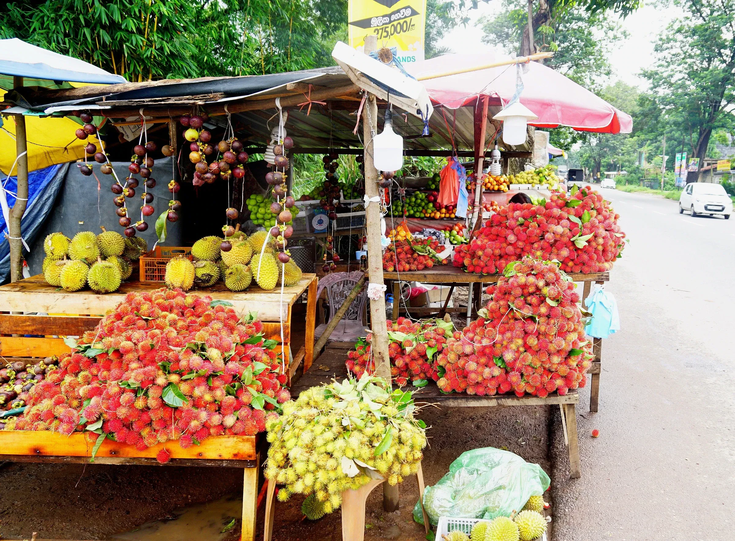 Rambutans and other local fruit piled on roadside stalls in Sri Lanka
