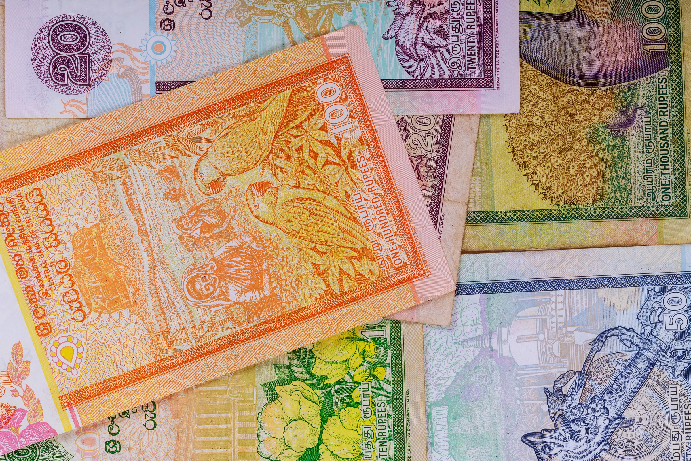 Sri Lankan rupee banknotes fanned out on a table