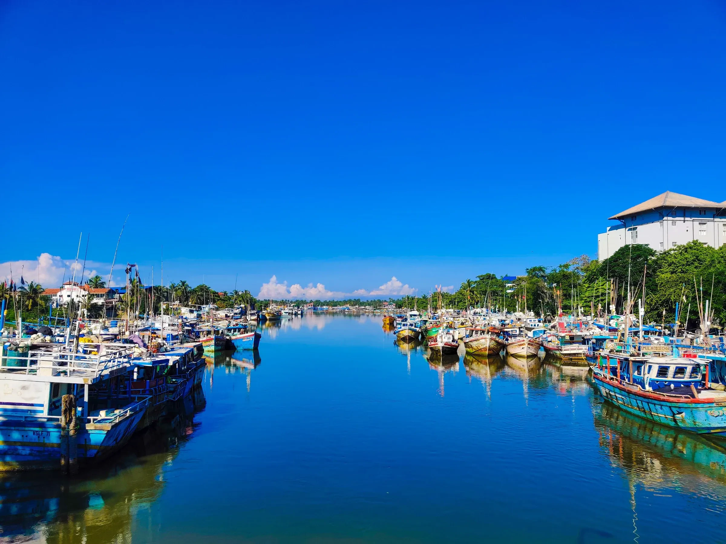 Fishing boats anchored in the Negombo lagoon