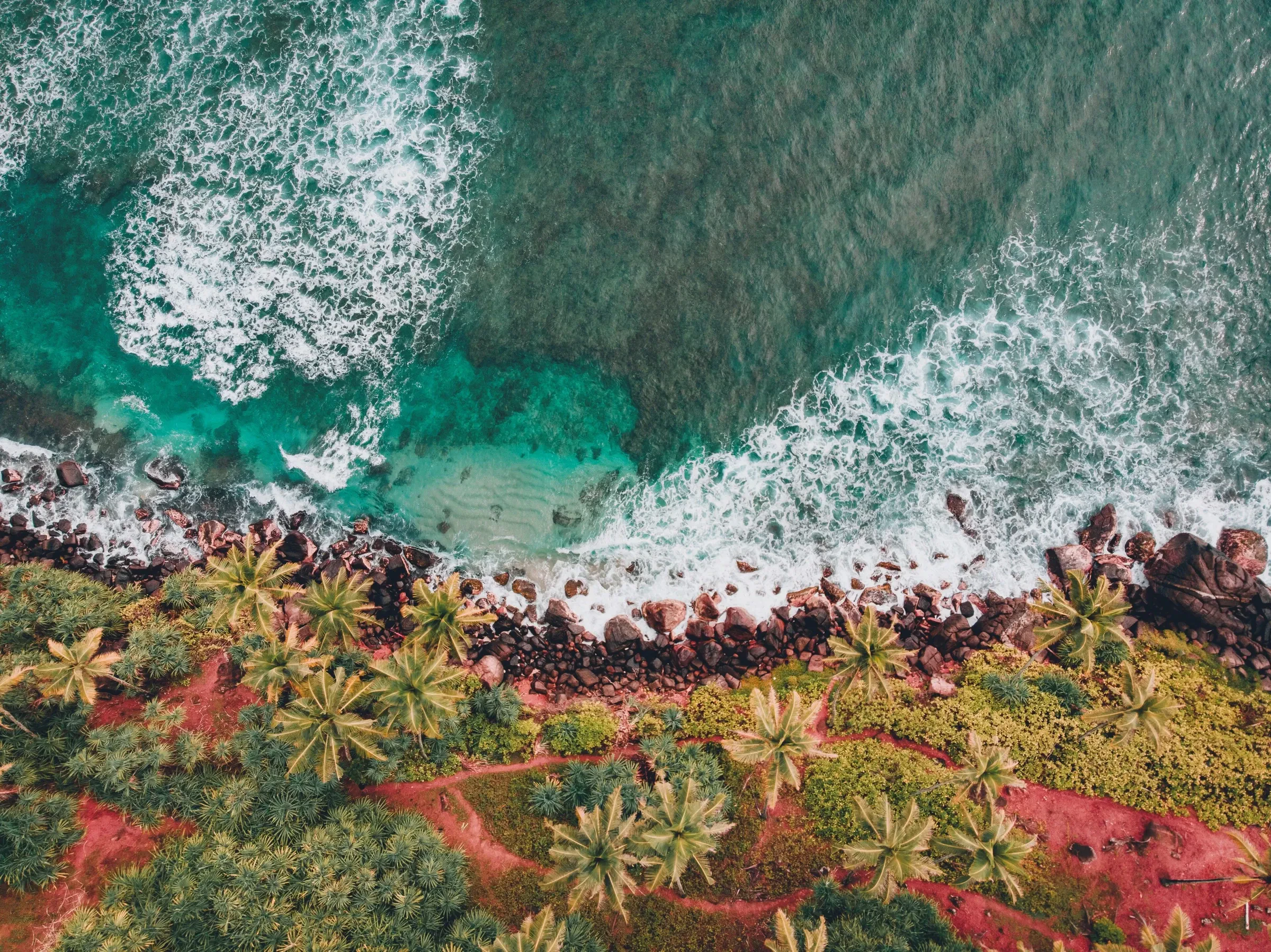 Aerial view of waves breaking on the rocky shore below Coconut Tree Hill at Mirissa, Sri Lanka