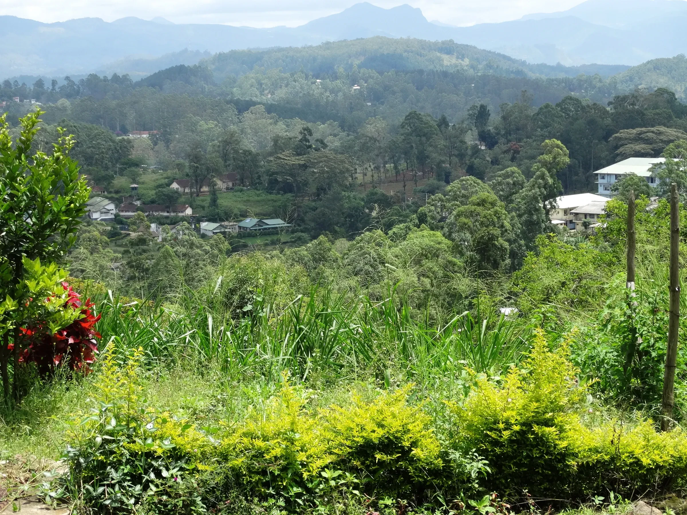 Green hills and a hillside village seen from the hill-country train line between Ella and Kandy