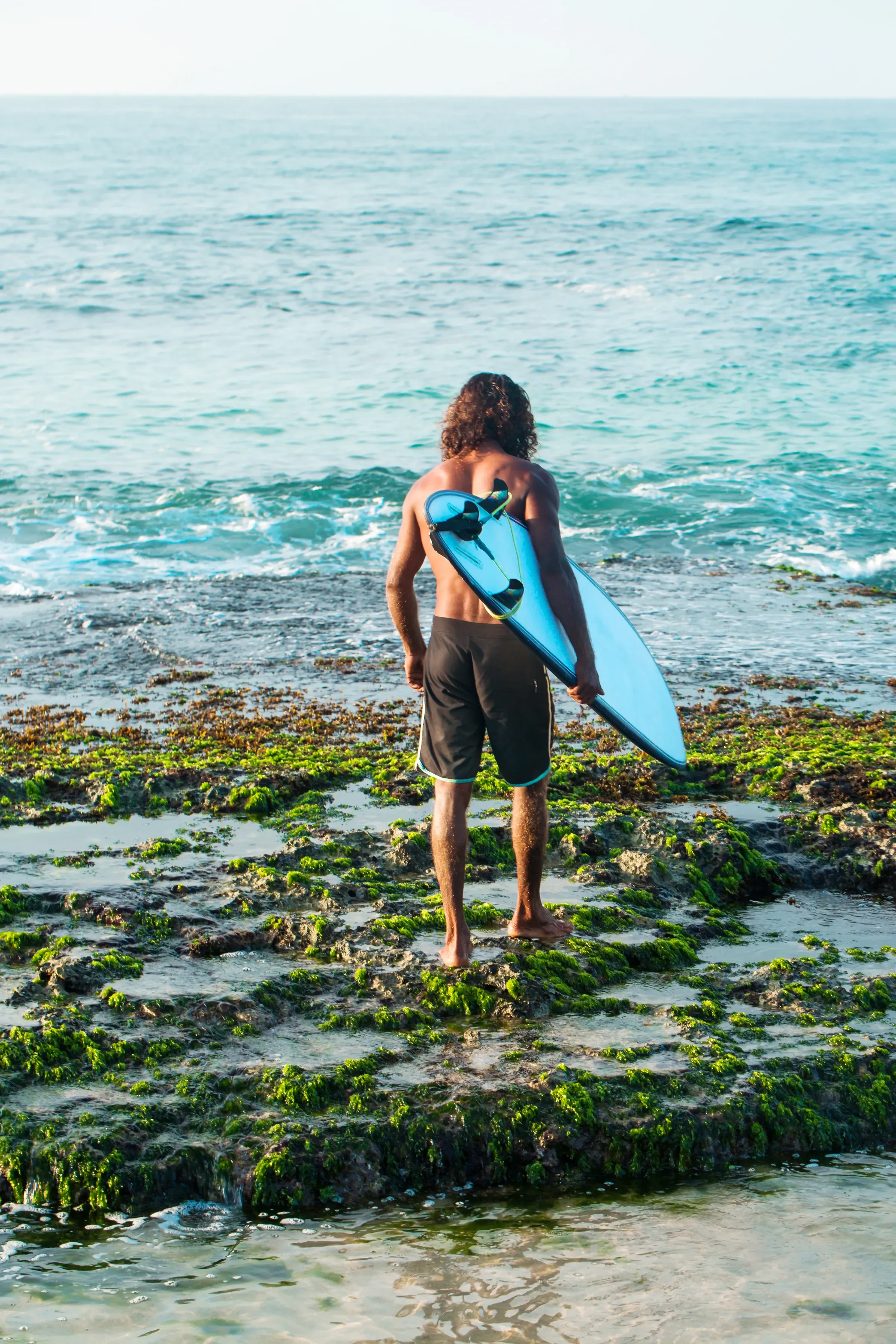 A surfer carrying a board over a flat, algae-covered reef shelf at low tide
