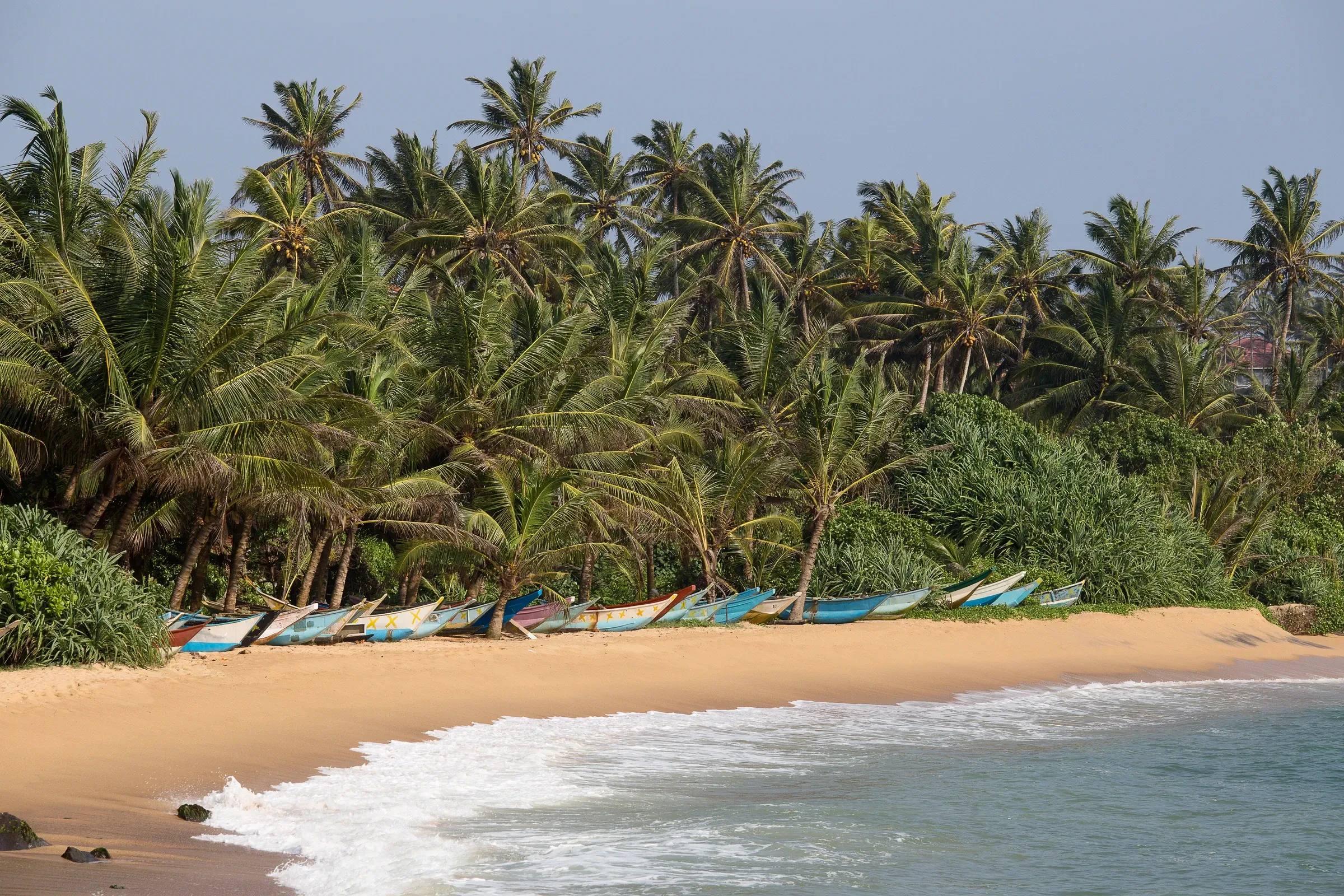 A beach with palm trees and wooden boats at Mirissa on Sri Lanka's south coast