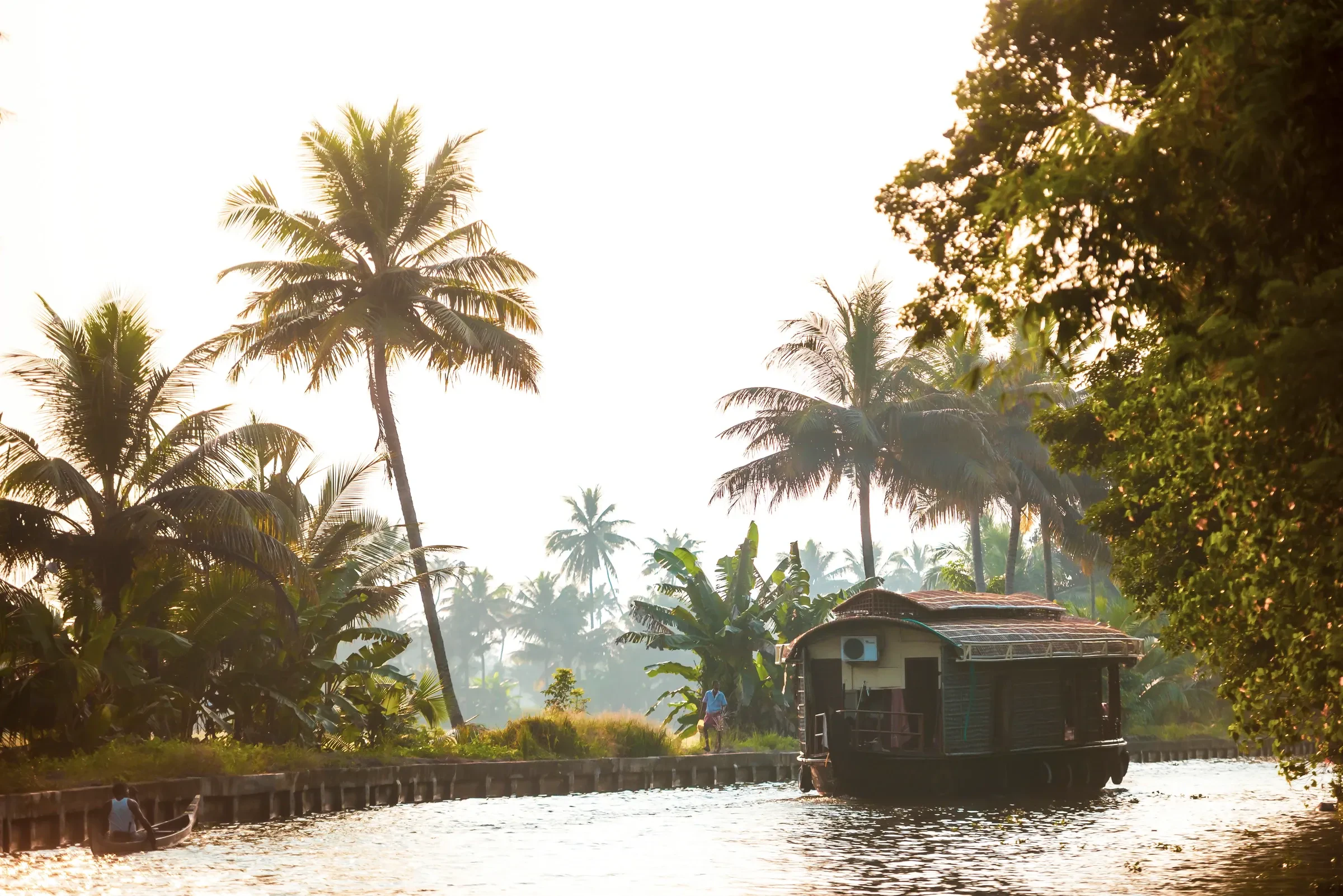 A houseboat on a palm-lined canal in the Kerala backwaters, India