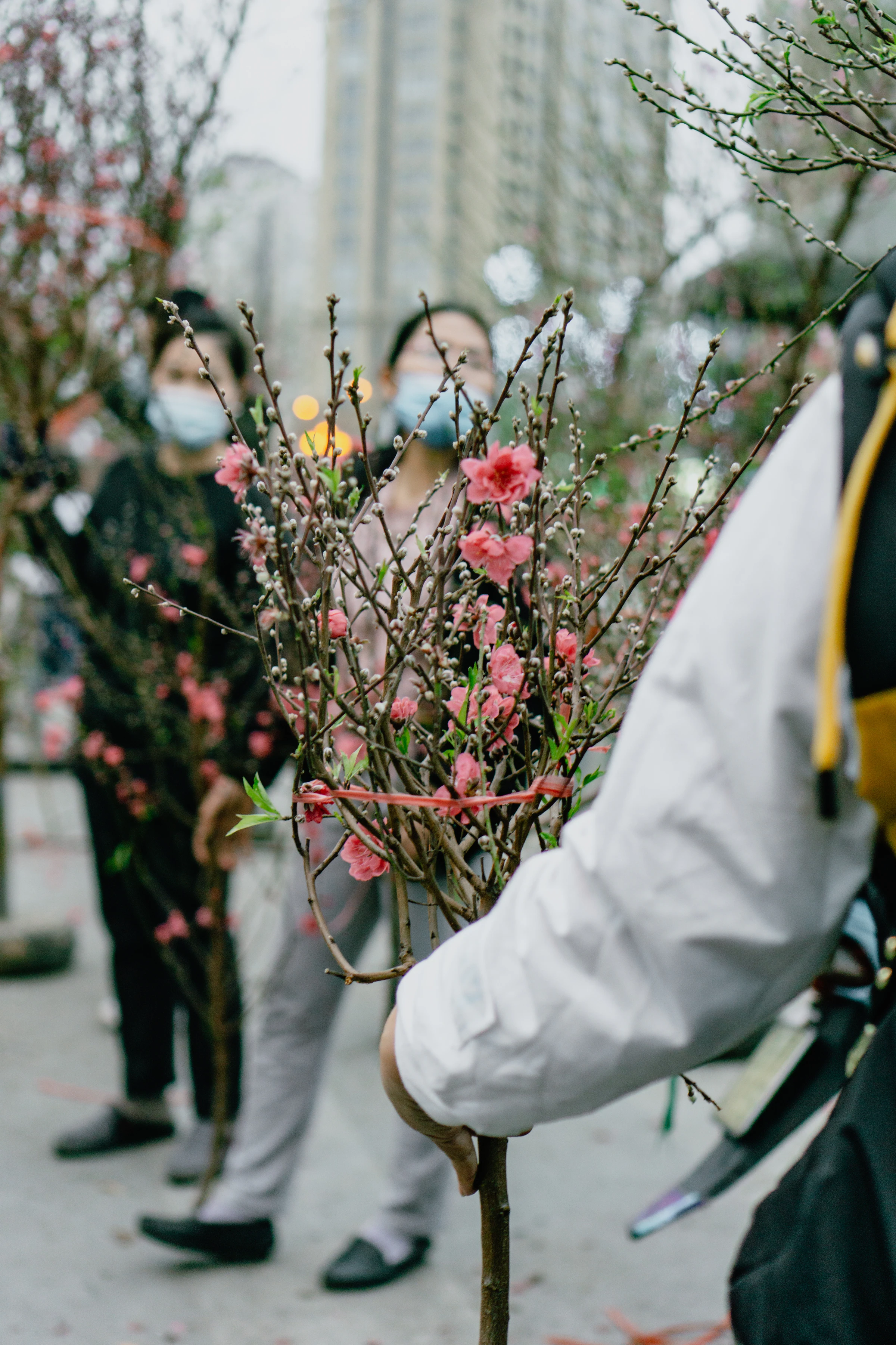 At a flower market in Hanoi in the run-up to Tet