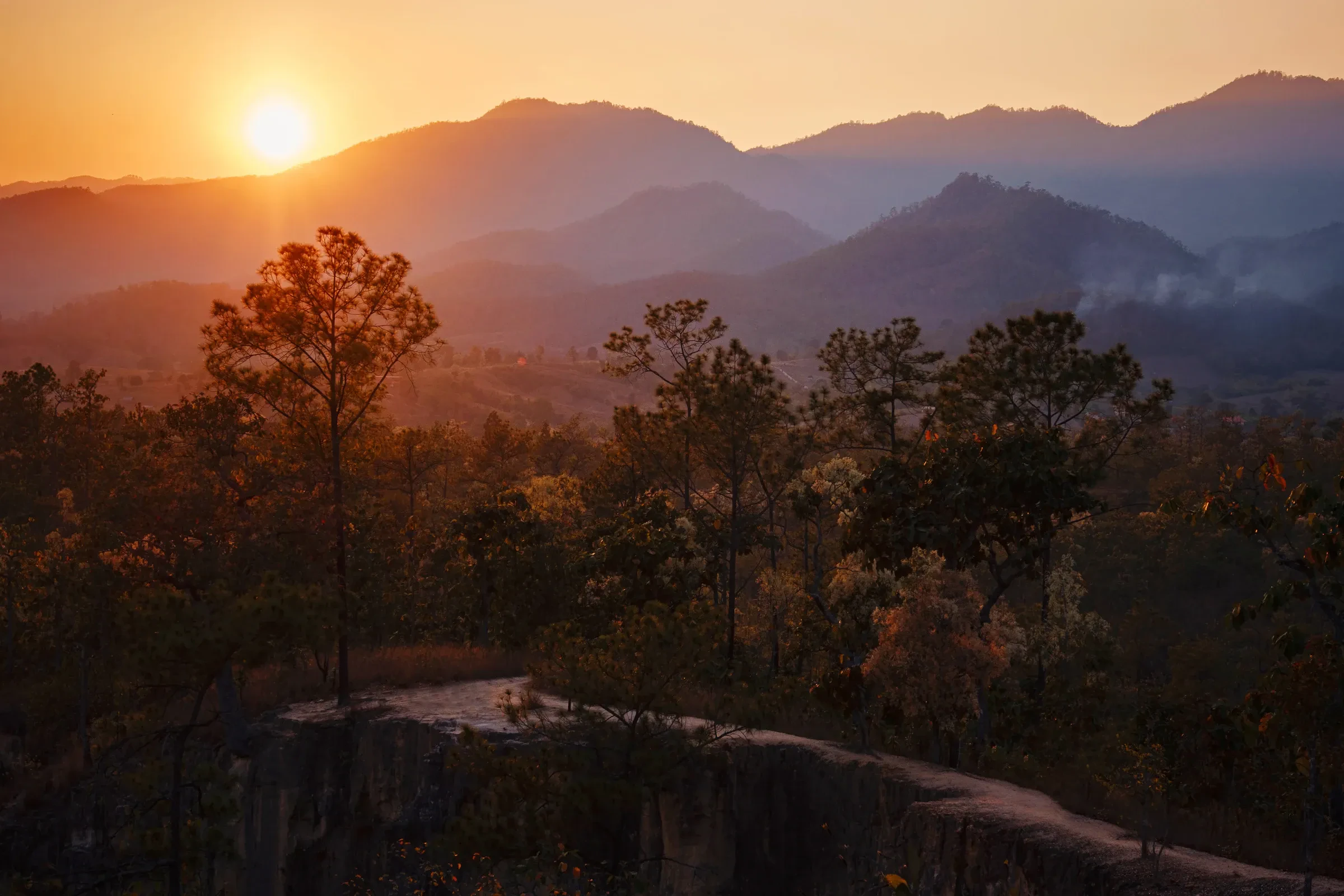 Sunset light over the ridges and pine forest at Pai Canyon