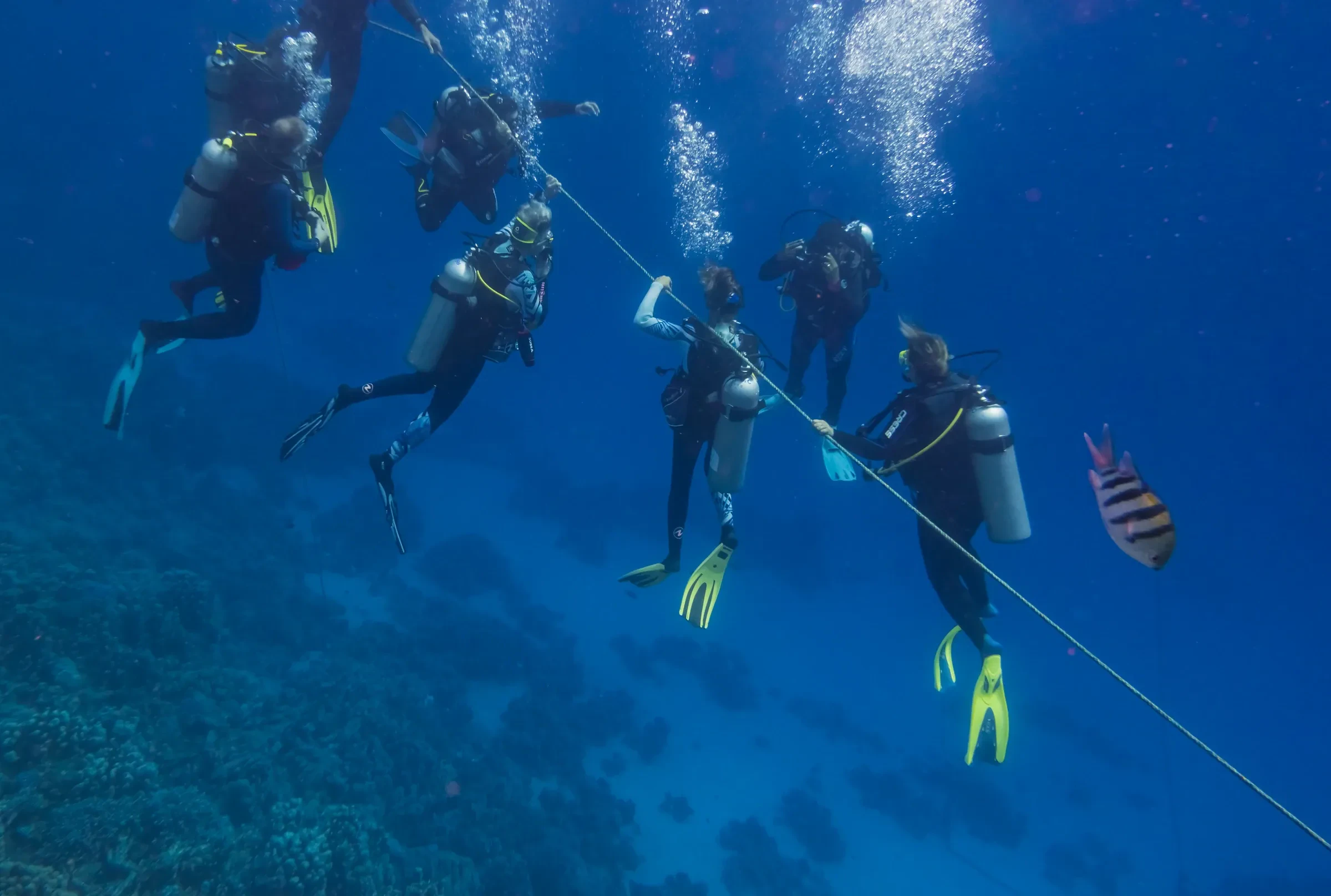 Divers hang at different depths along a descent line in clear blue water