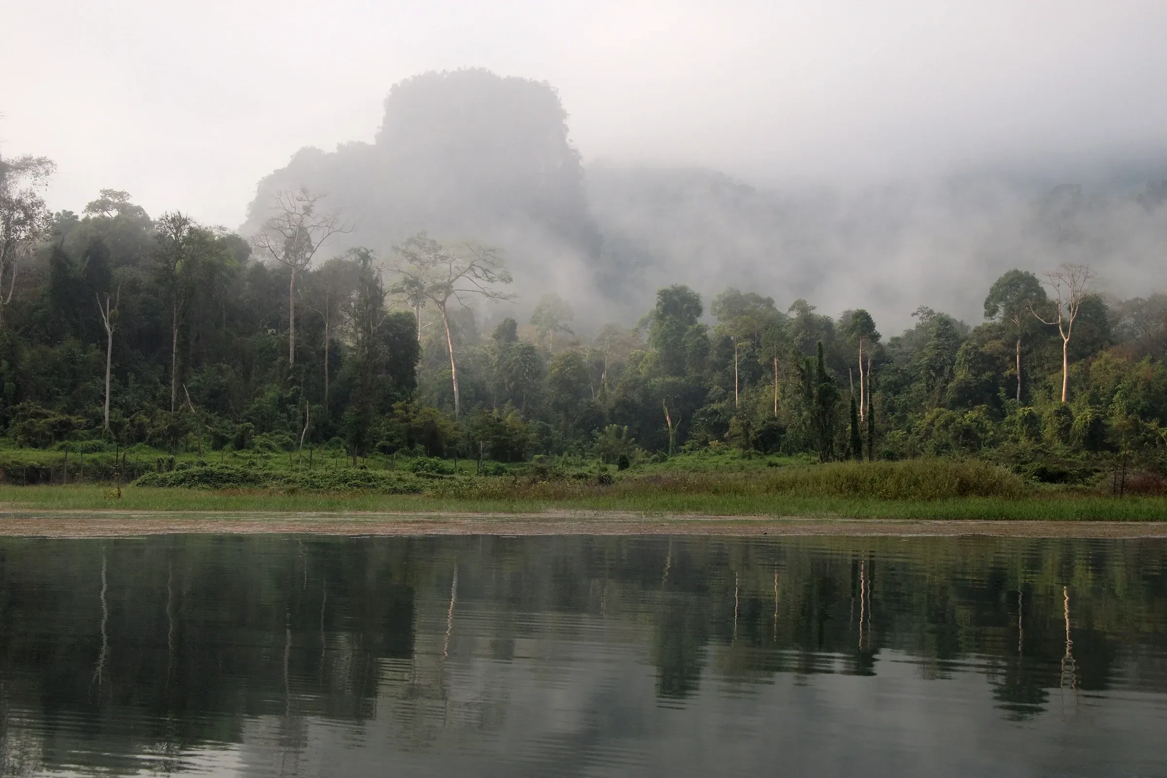 Dense rainforest on the shore of Cheow Lan Lake in Khao Sok, raft houses moored below