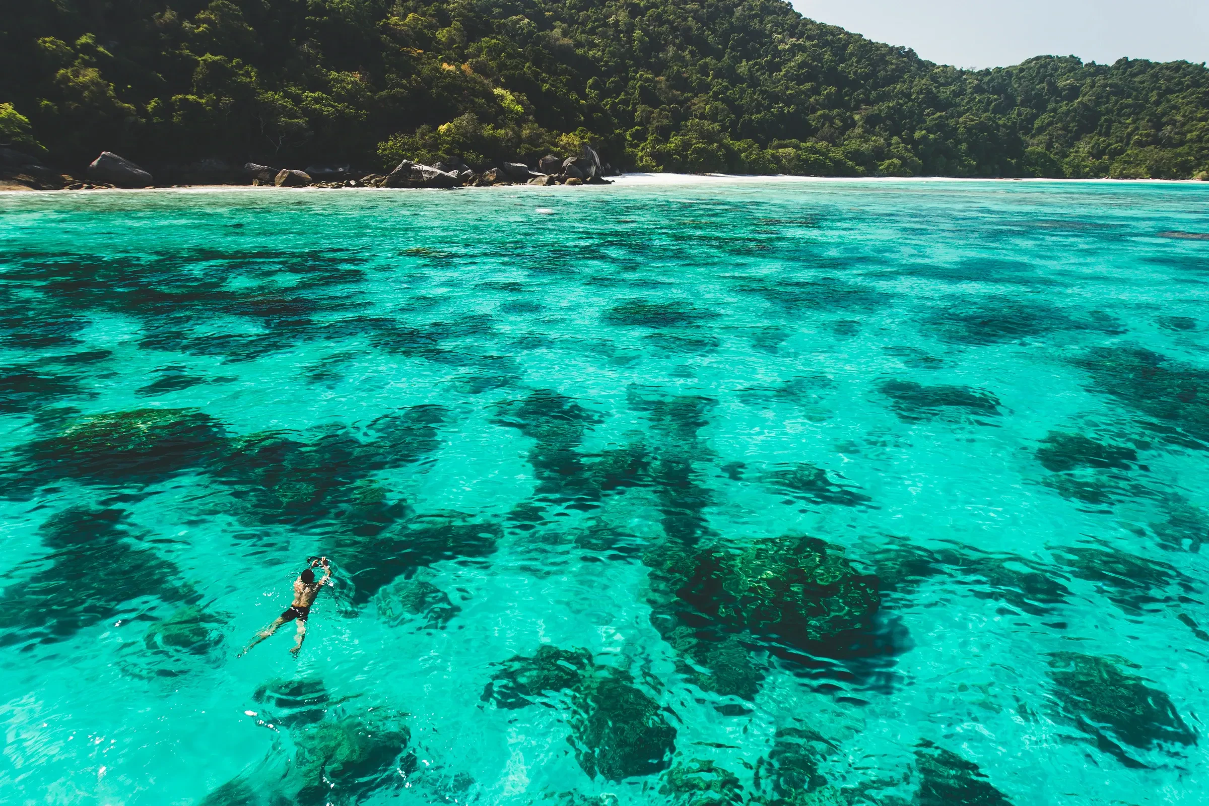 A snorkeller floating over a shallow coral reef in clear turquoise water