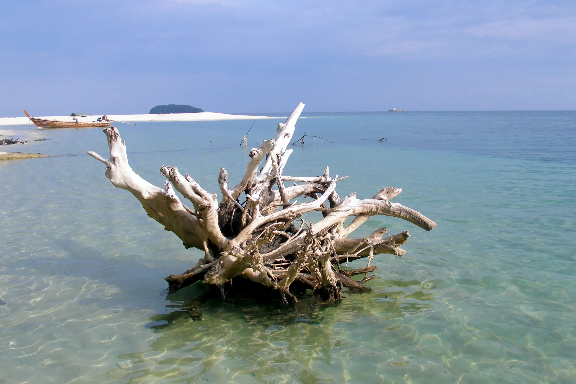 Driftwood in clear shallow water off a sandy shore on Koh Adang