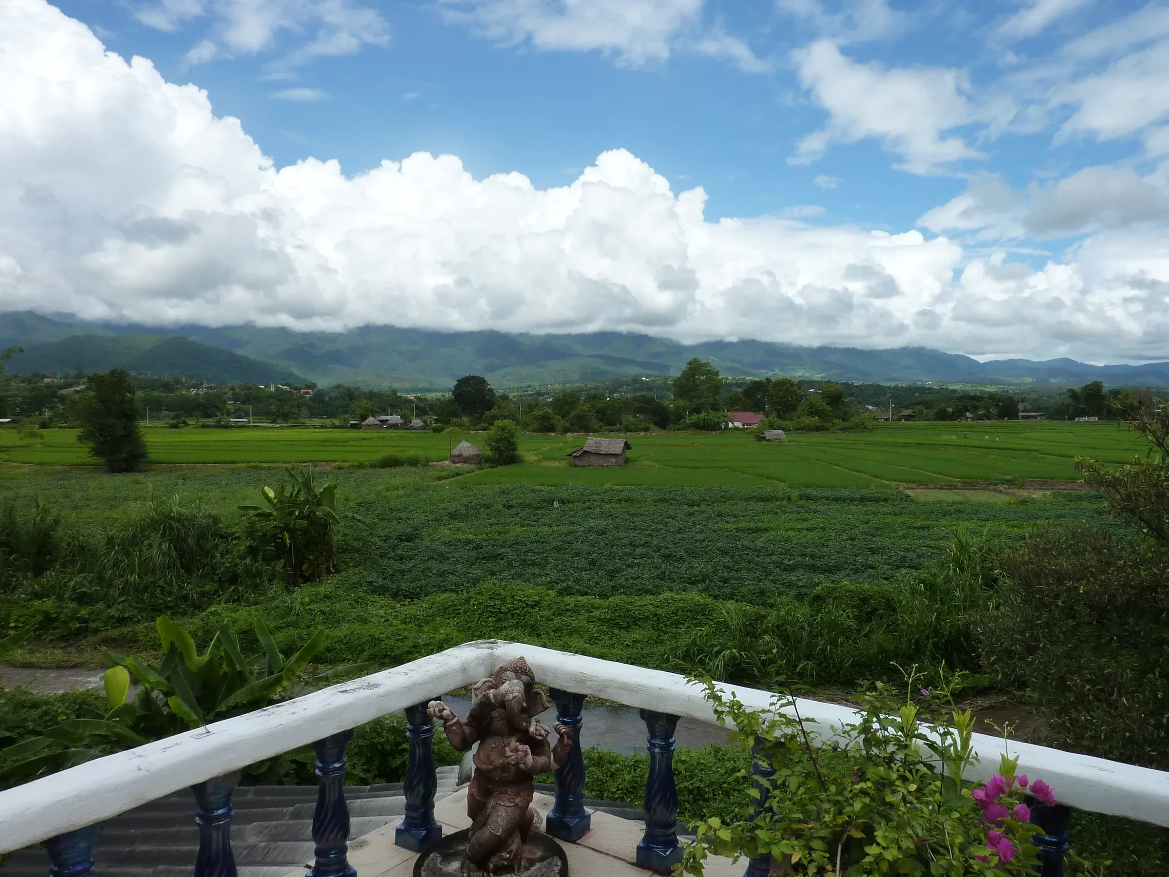 Green rice fields below distant hills and clouds near Pai