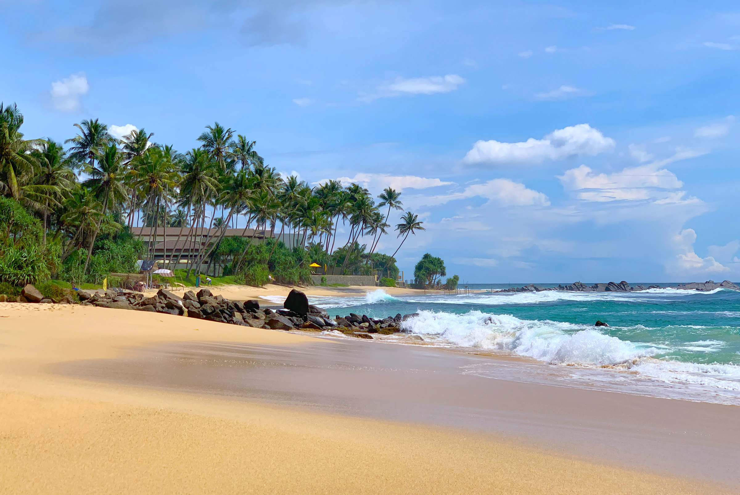 A curved sandy bay at Unawatuna with calm turquoise water and palm trees along the shore