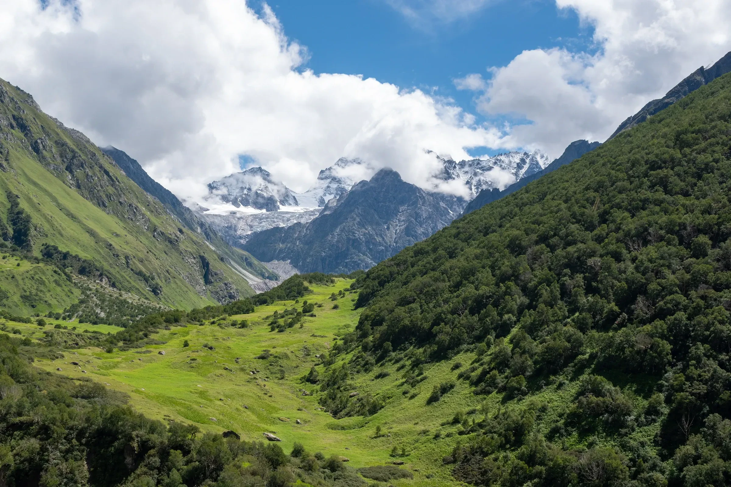 Green meadows in the Valley of Flowers National Park beneath Himalayan peaks