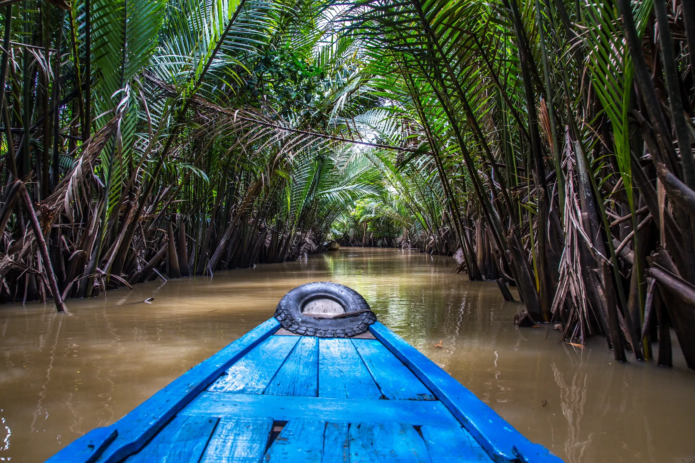 A narrow canal in the Mekong Delta lined with water palms, seen from the bow of a blue boat