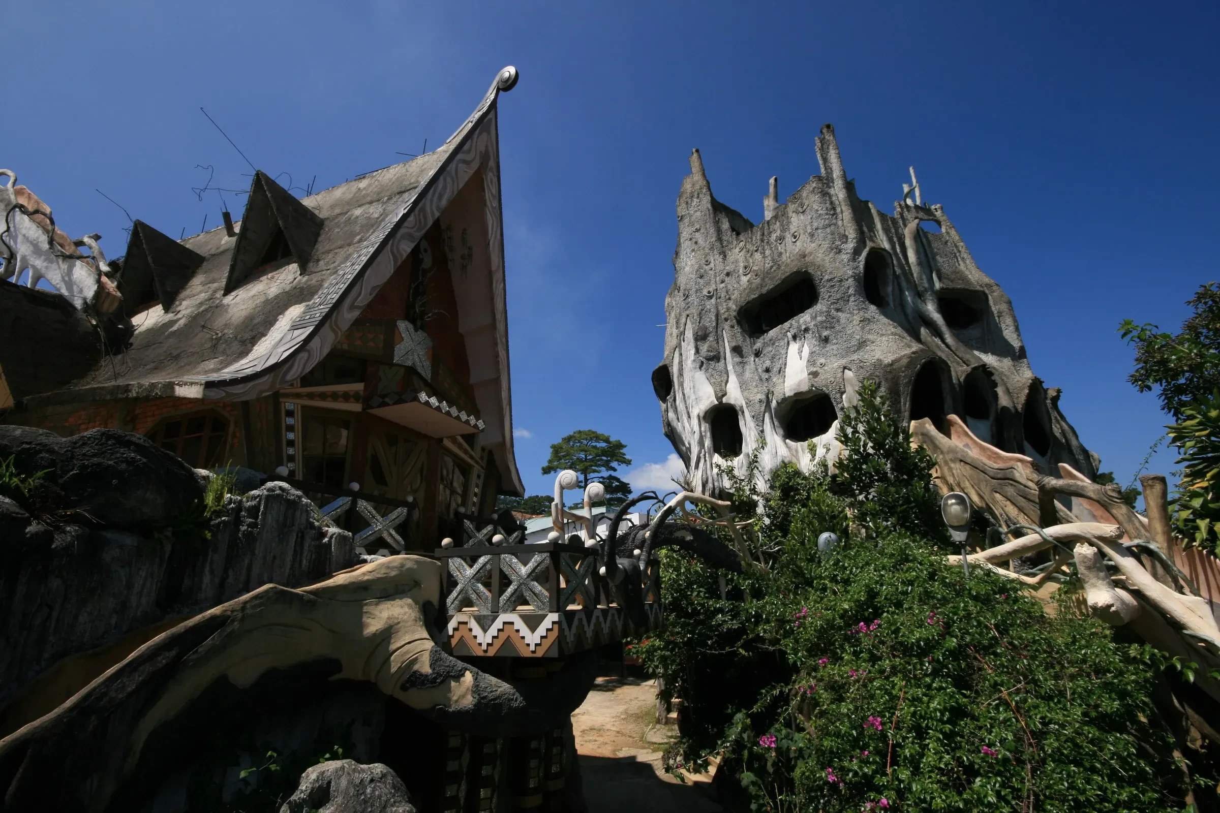 The Crazy House's treelike architecture and rooftops in Da Lat