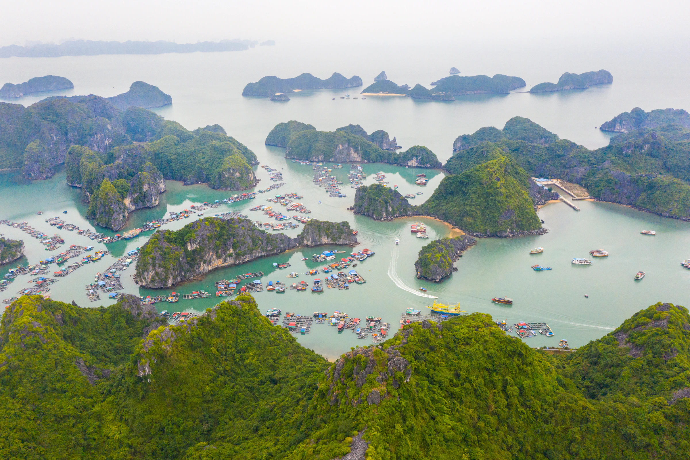 Limestone islands rising from calm green water in Lan Ha Bay