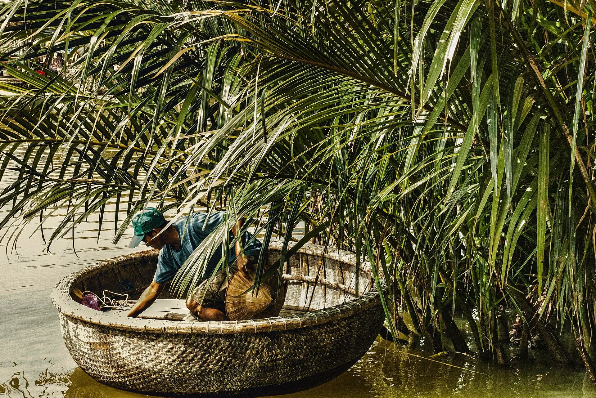 A person in a round basket boat among thick greenery at Cam Thanh, near Hoi An