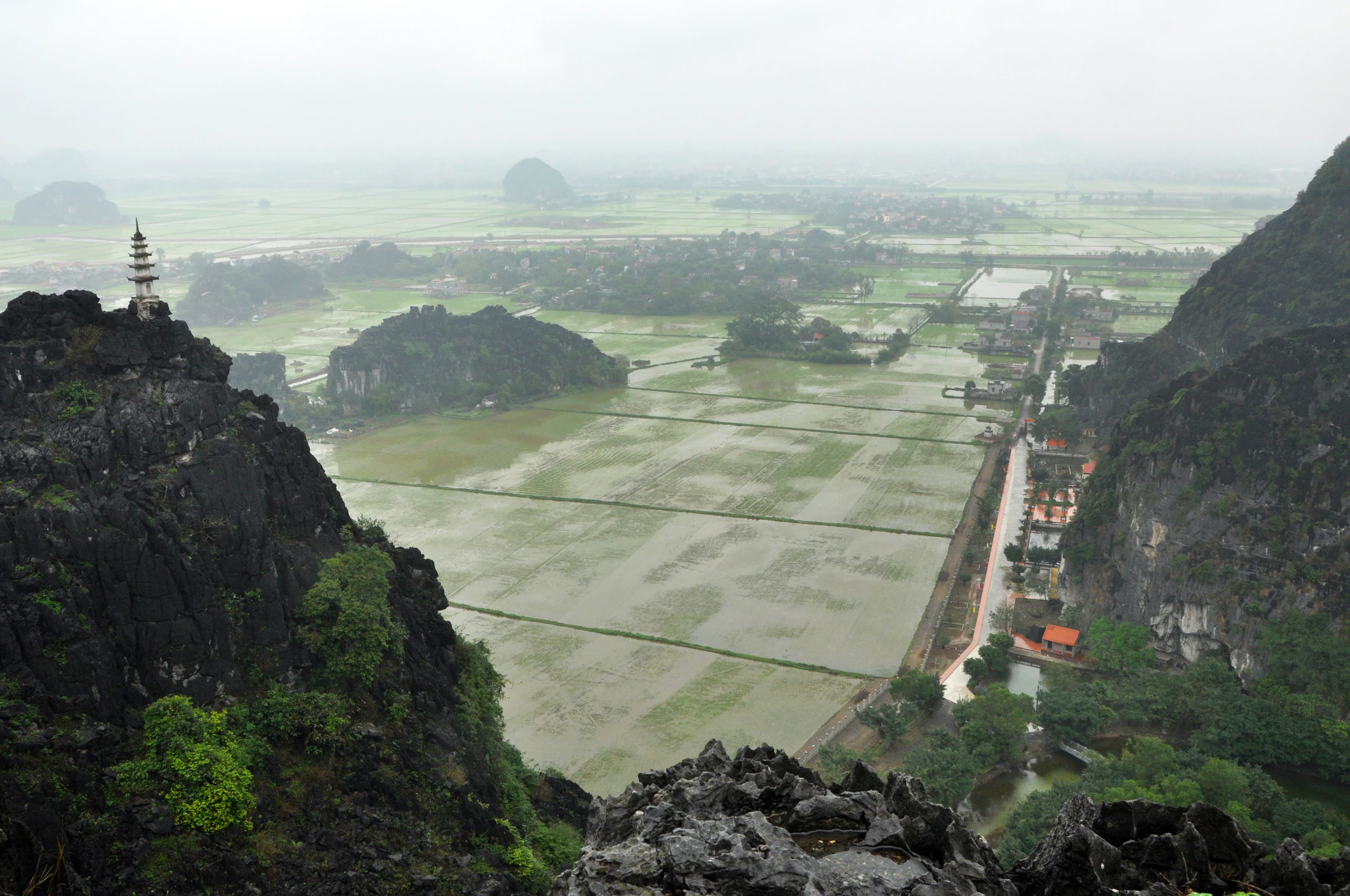 Rice fields and limestone towers seen from the Hang Mua viewpoint