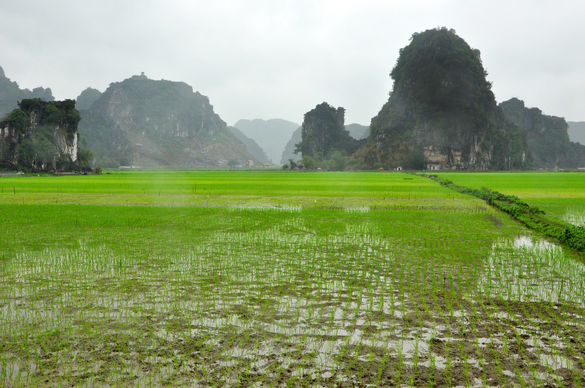 Where to go in Vietnam: the best places to visit, region by region
