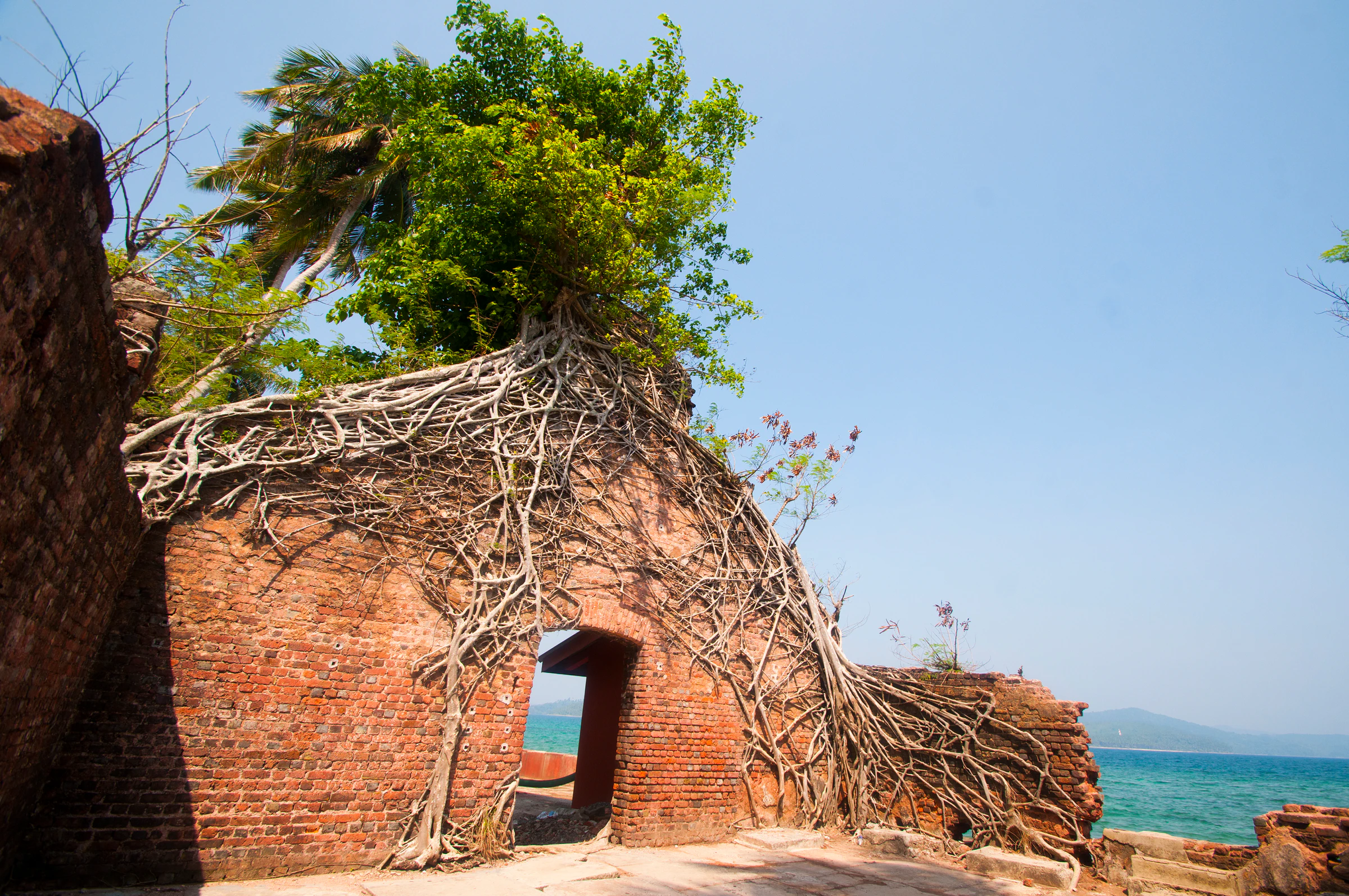 Ross Island's colonial ruins reclaimed by the jungle