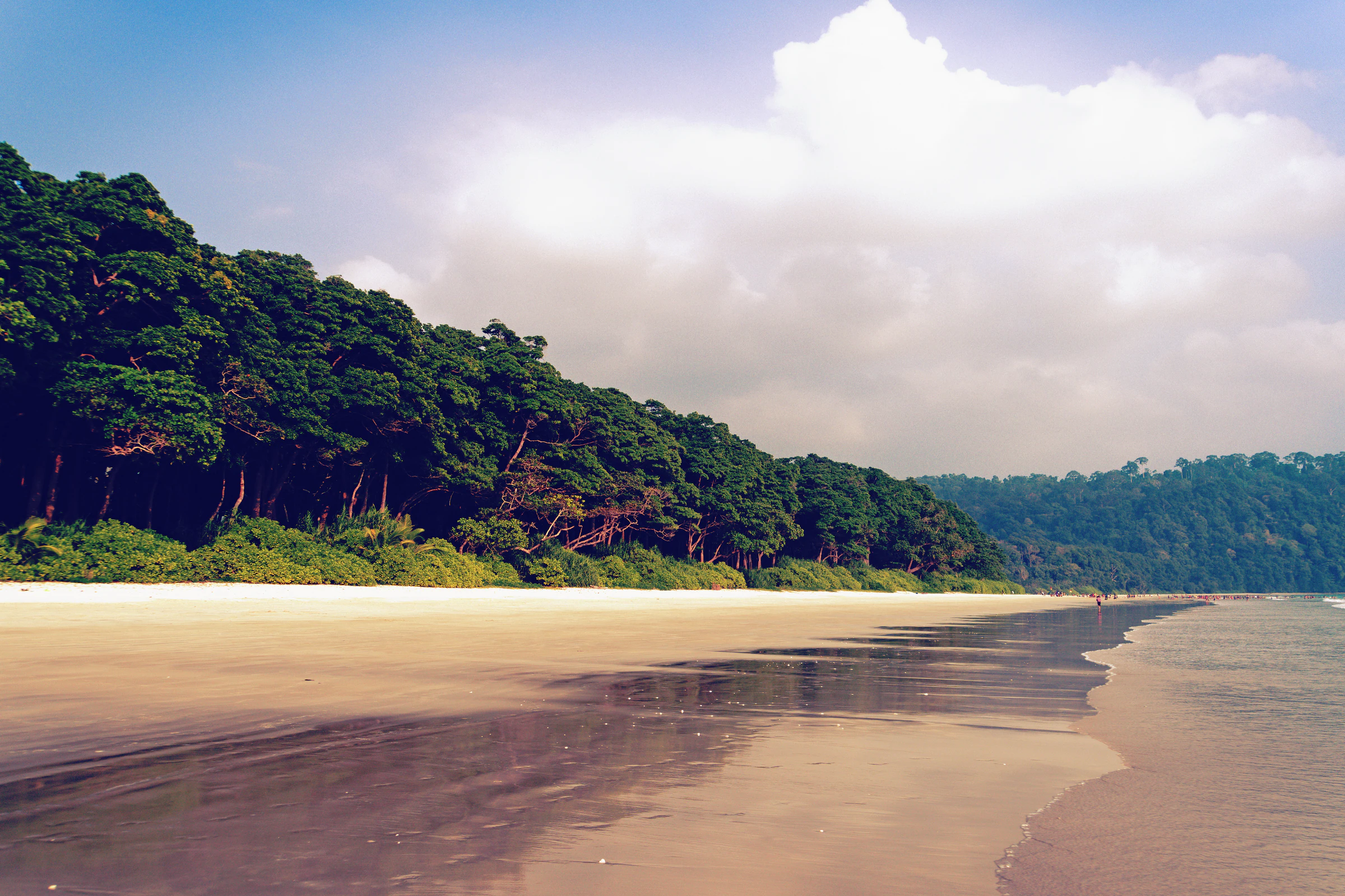 Radhanagar Beach on Havelock, with forest behind a long stretch of pale sand