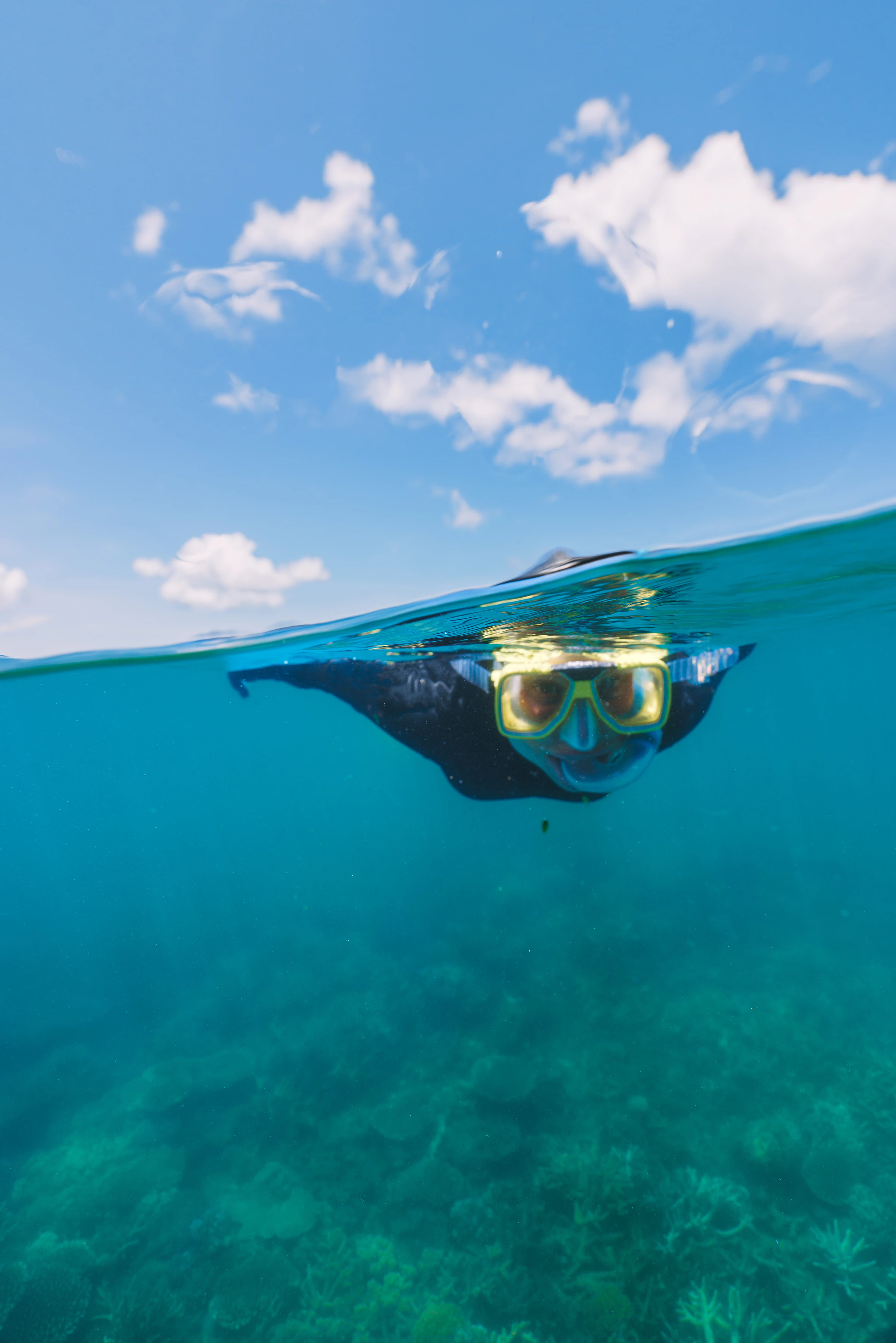 A snorkeller floating in clear turquoise water over a reef