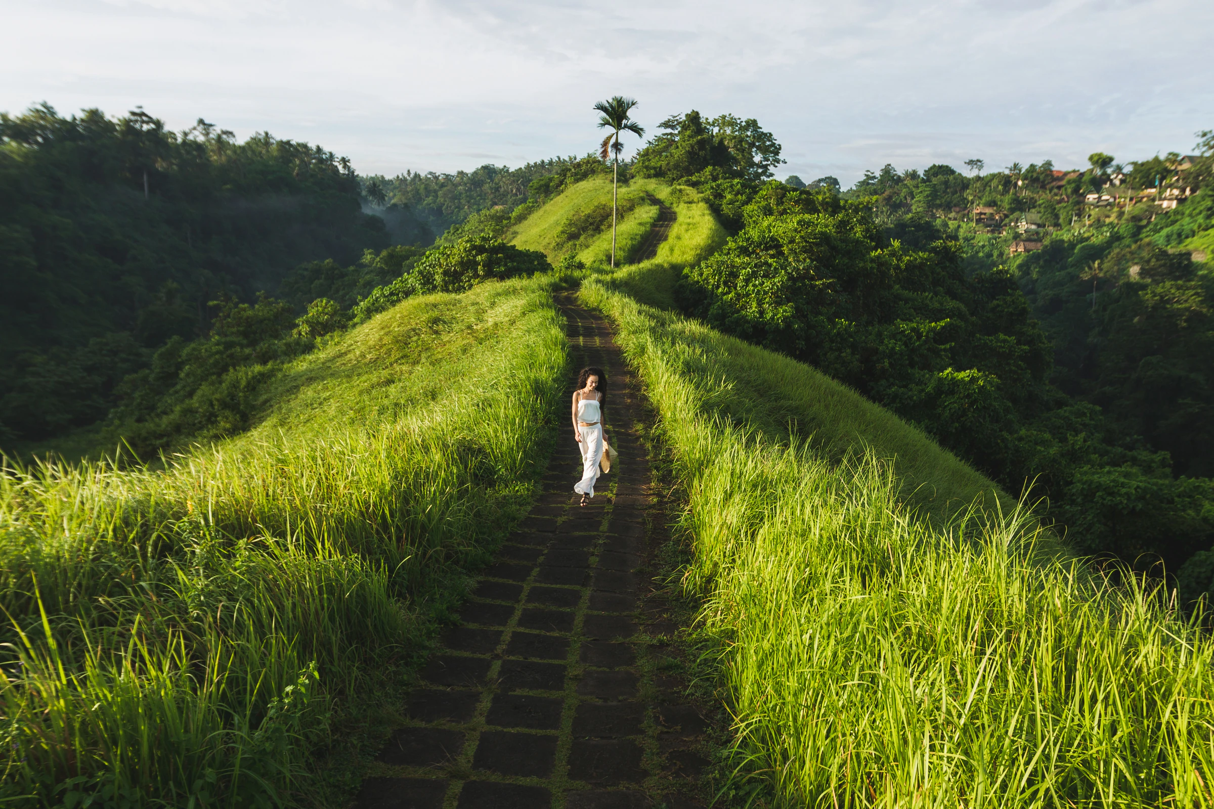 The Campuhan Ridge path through tall grass in Ubud