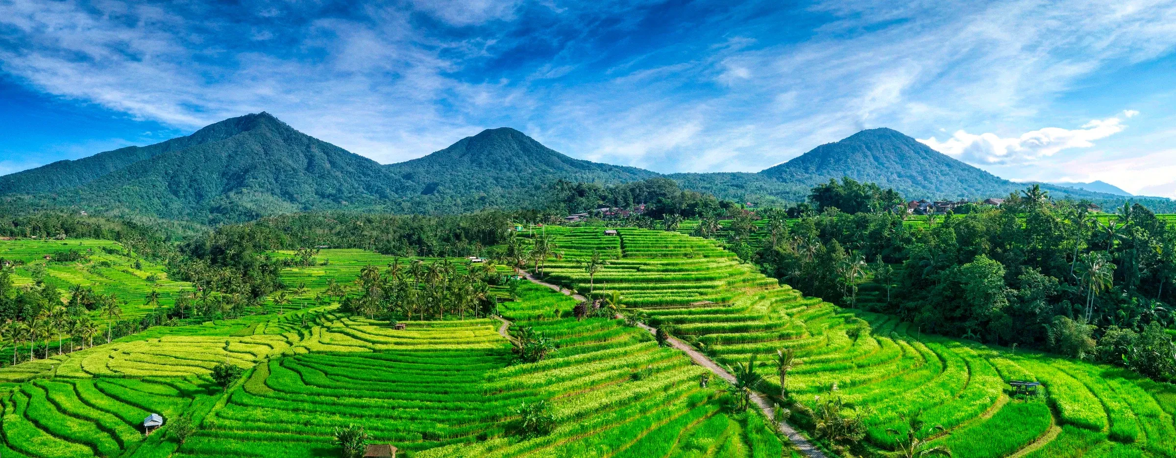 The Jatiluwih rice terraces with the mountains behind