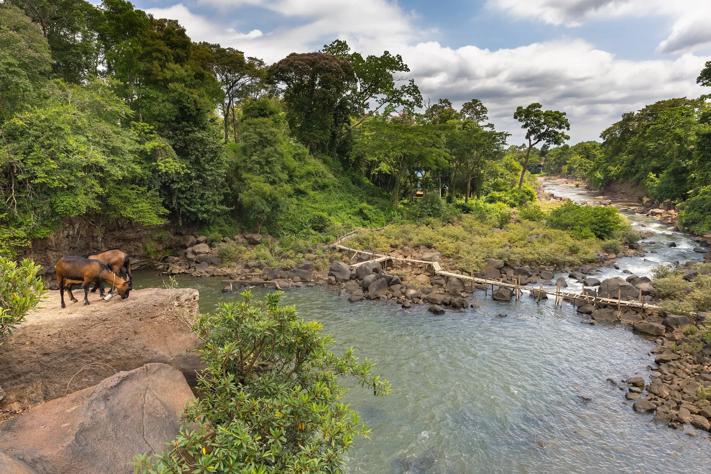 The Tad Lo river and a footbridge in Tad Lo village on the Bolaven Plateau